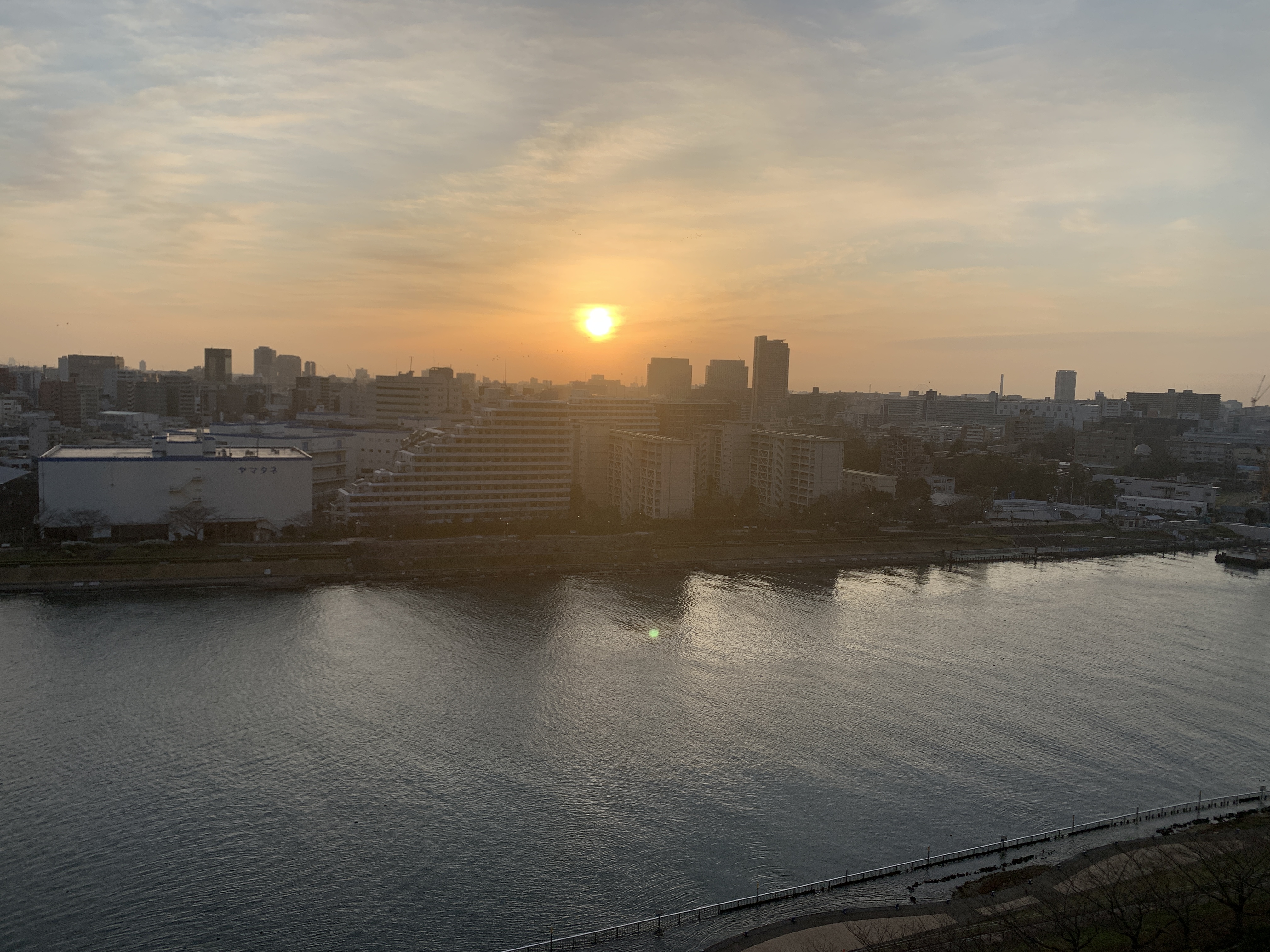 朝靄の中から元気なお日様「ありがとう」