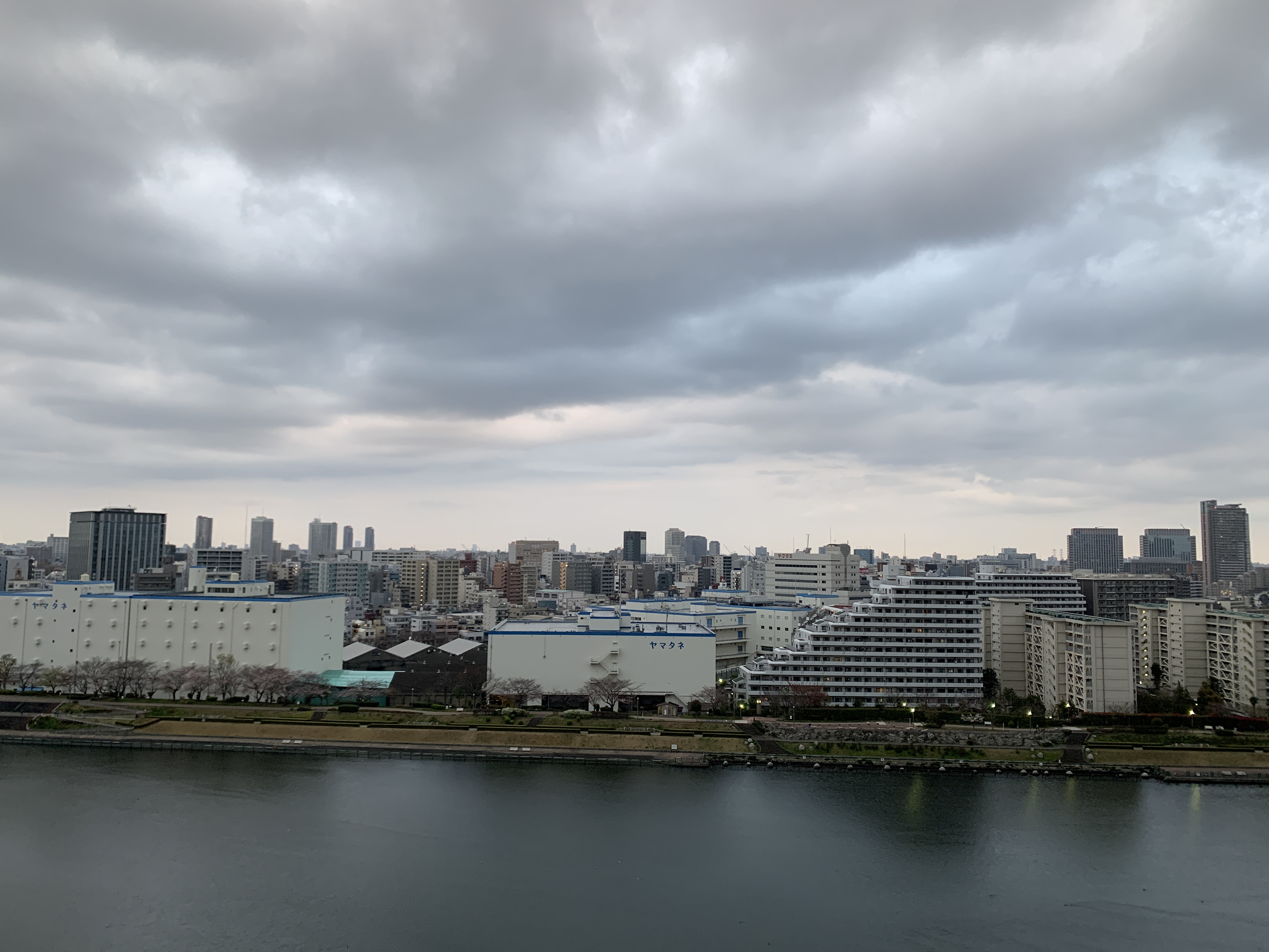 雲いっぱいの朝「信頼」