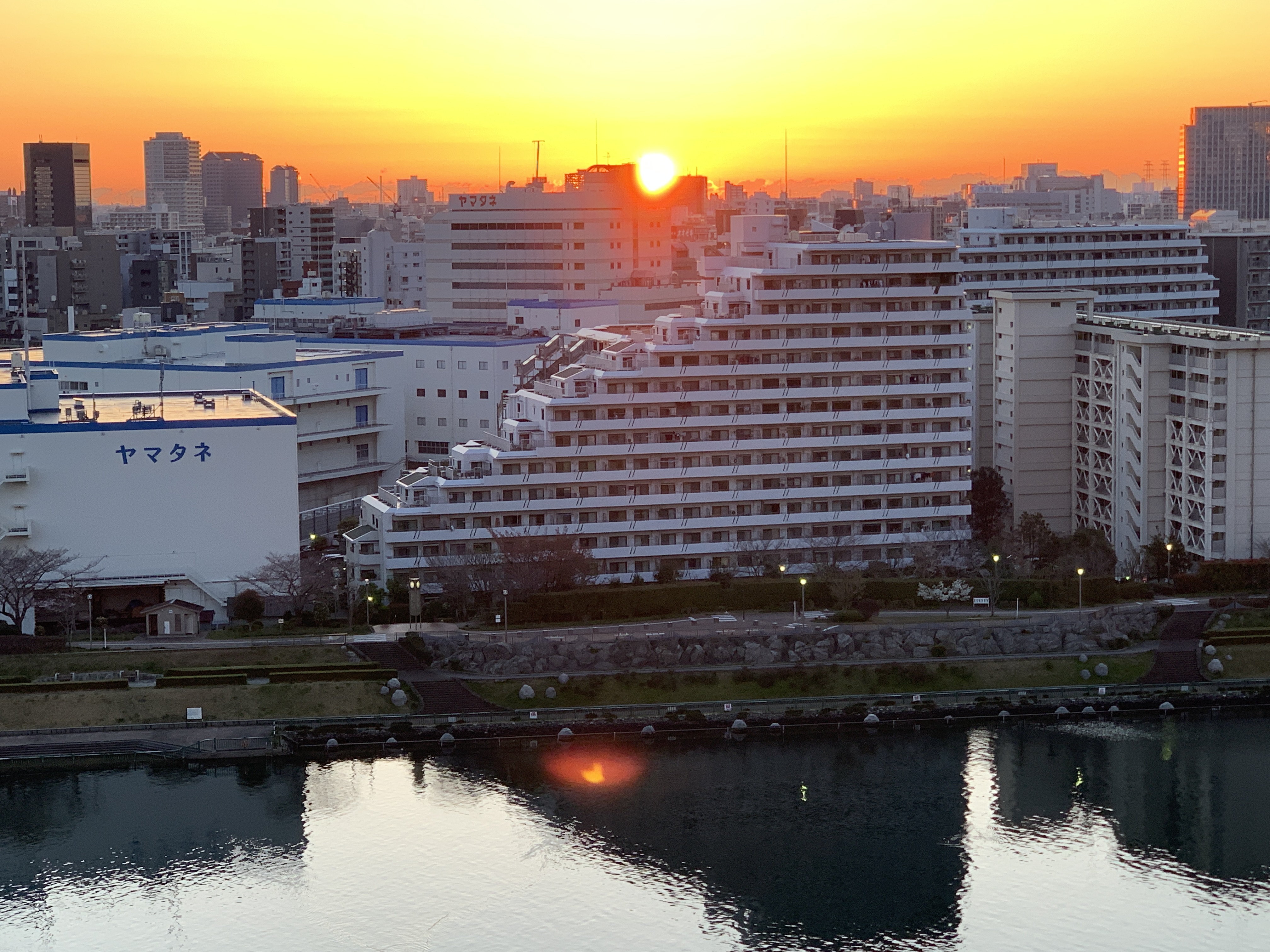 夜が明けますよぉ〜「大切なのは誰とするか」