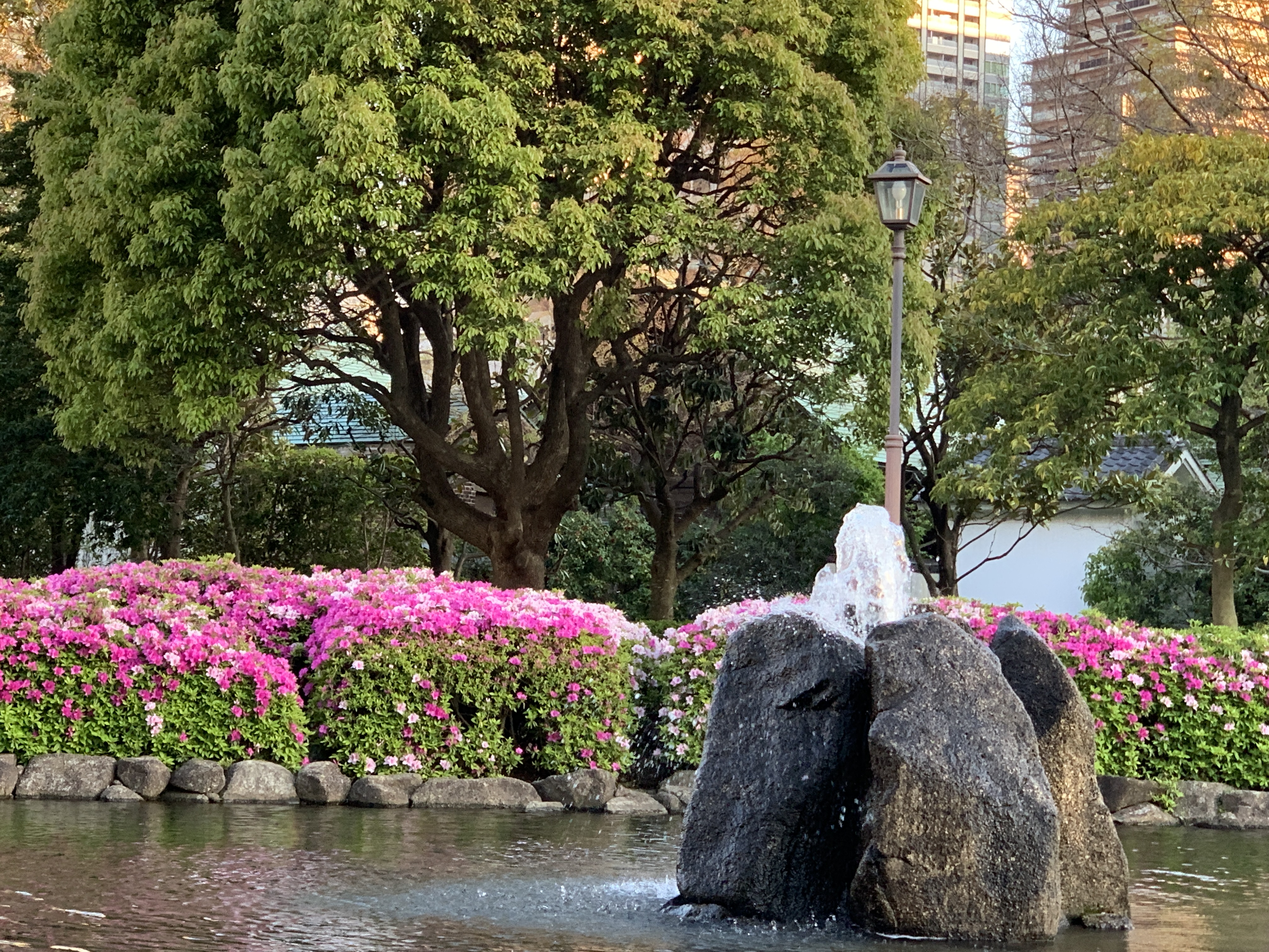 長閑な夕暮れ・平和な時に感謝です