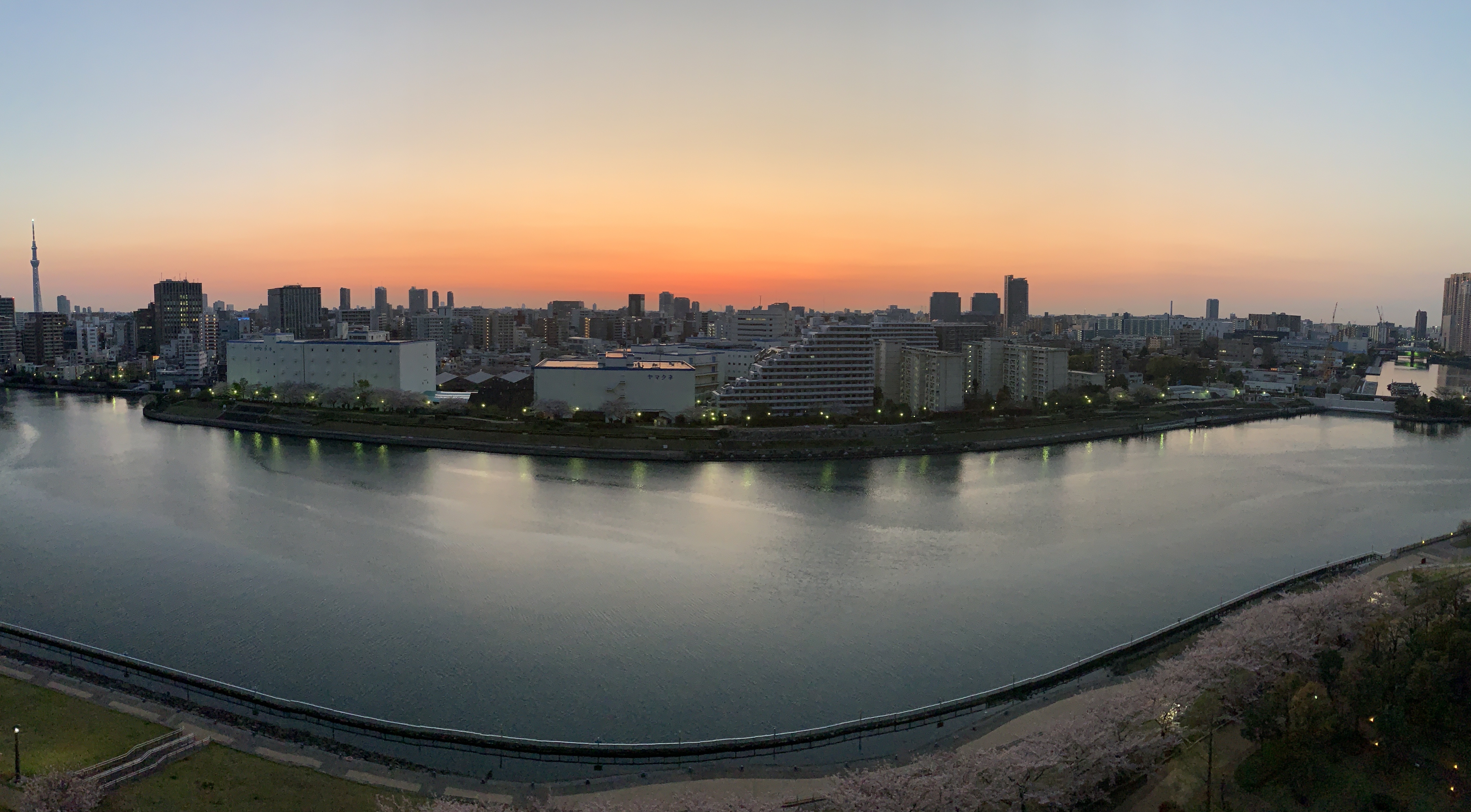 早起きは三文の徳「愛ある選択」