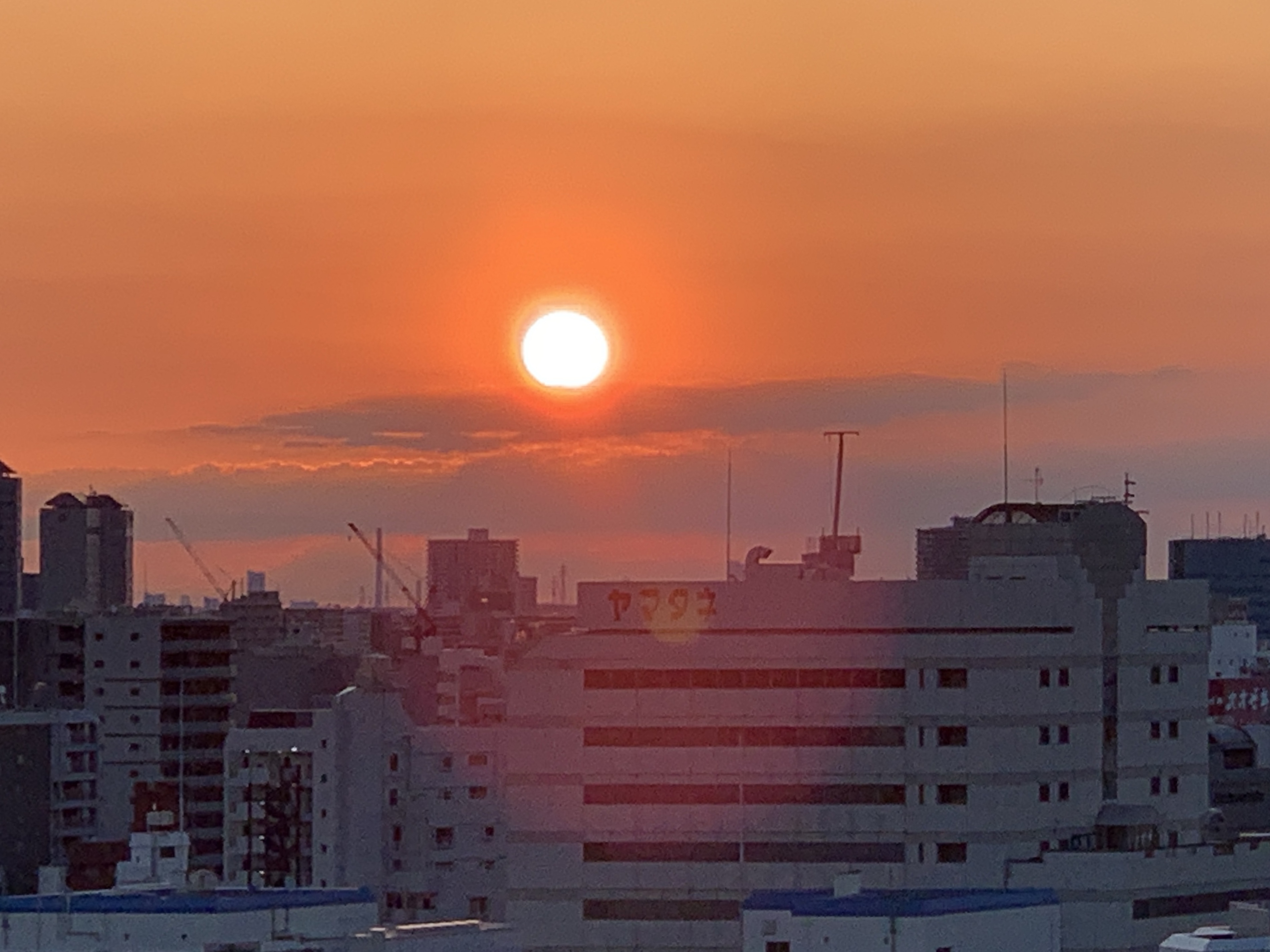 キッラキラの朝陽「相手は気にしていない」