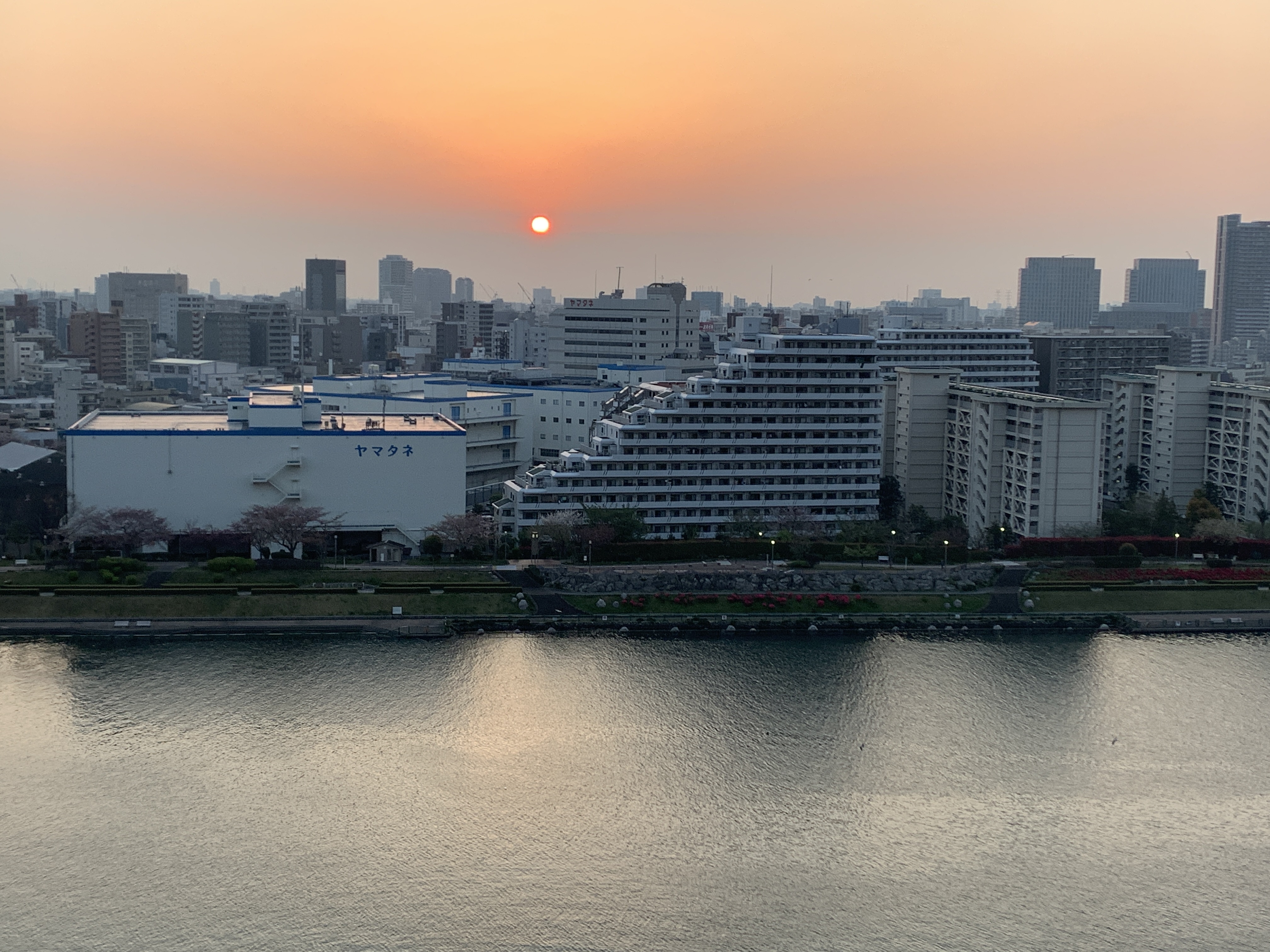 まん丸で優しい朝陽☀️「自分の鏡」