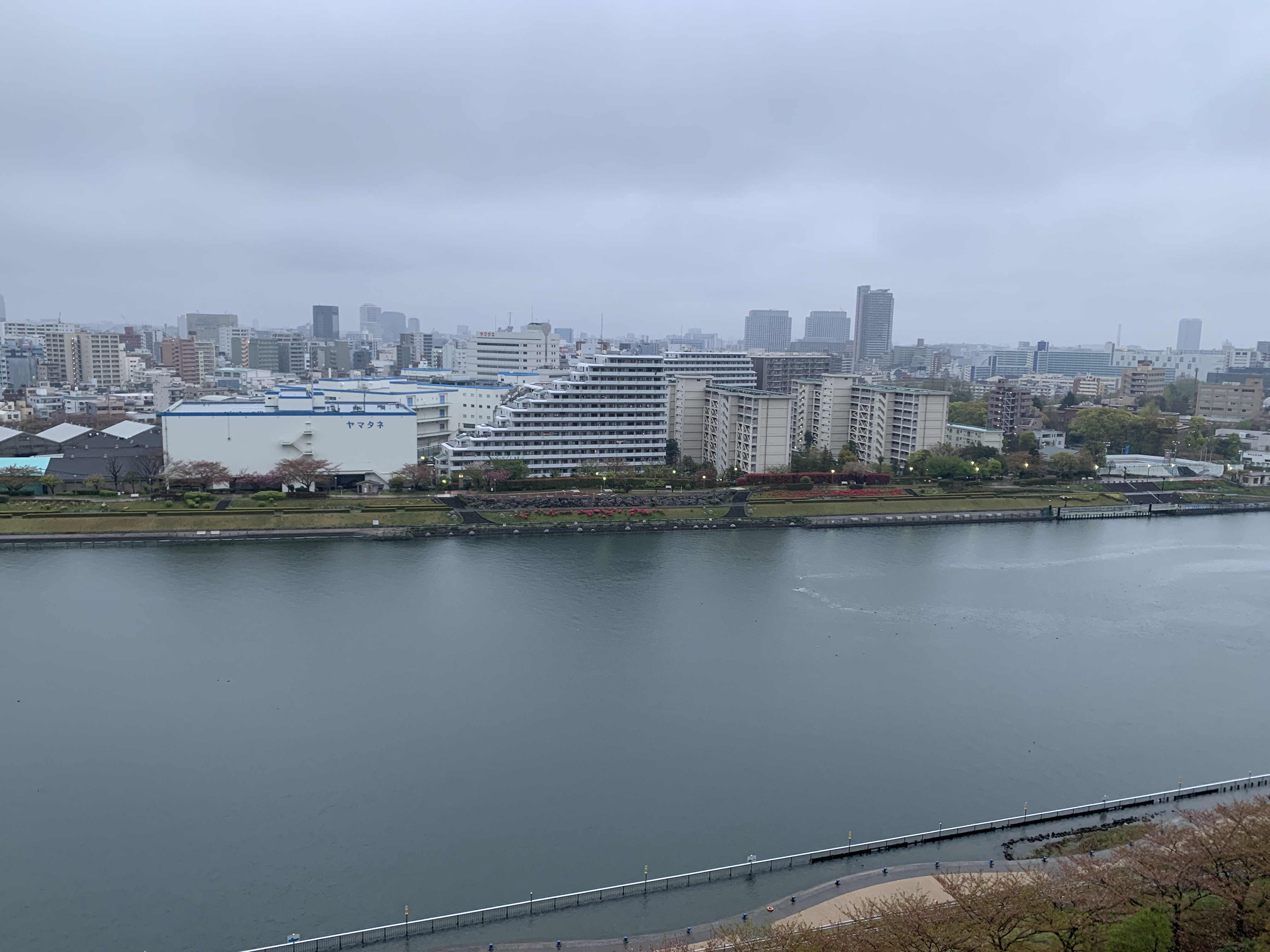 小雨の朝「働く」