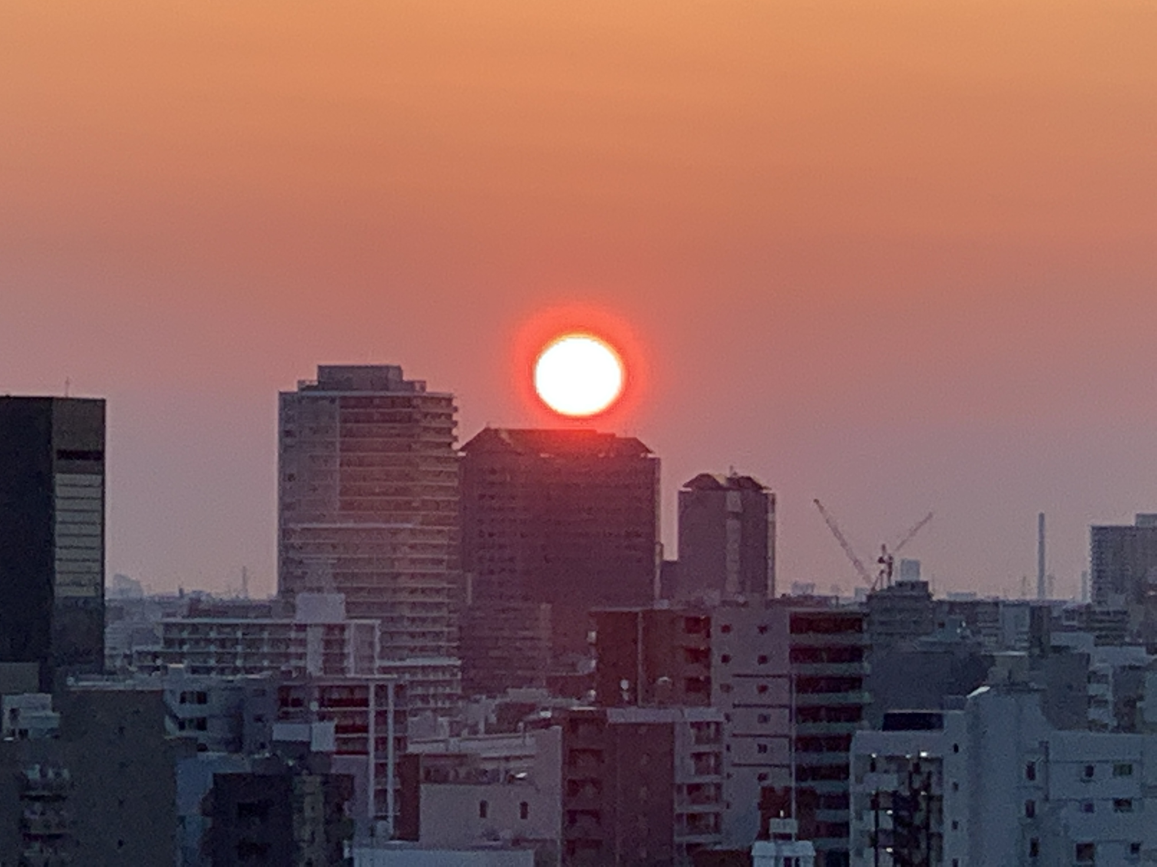 夜明けが早くなってまん丸太陽「柔軟に」