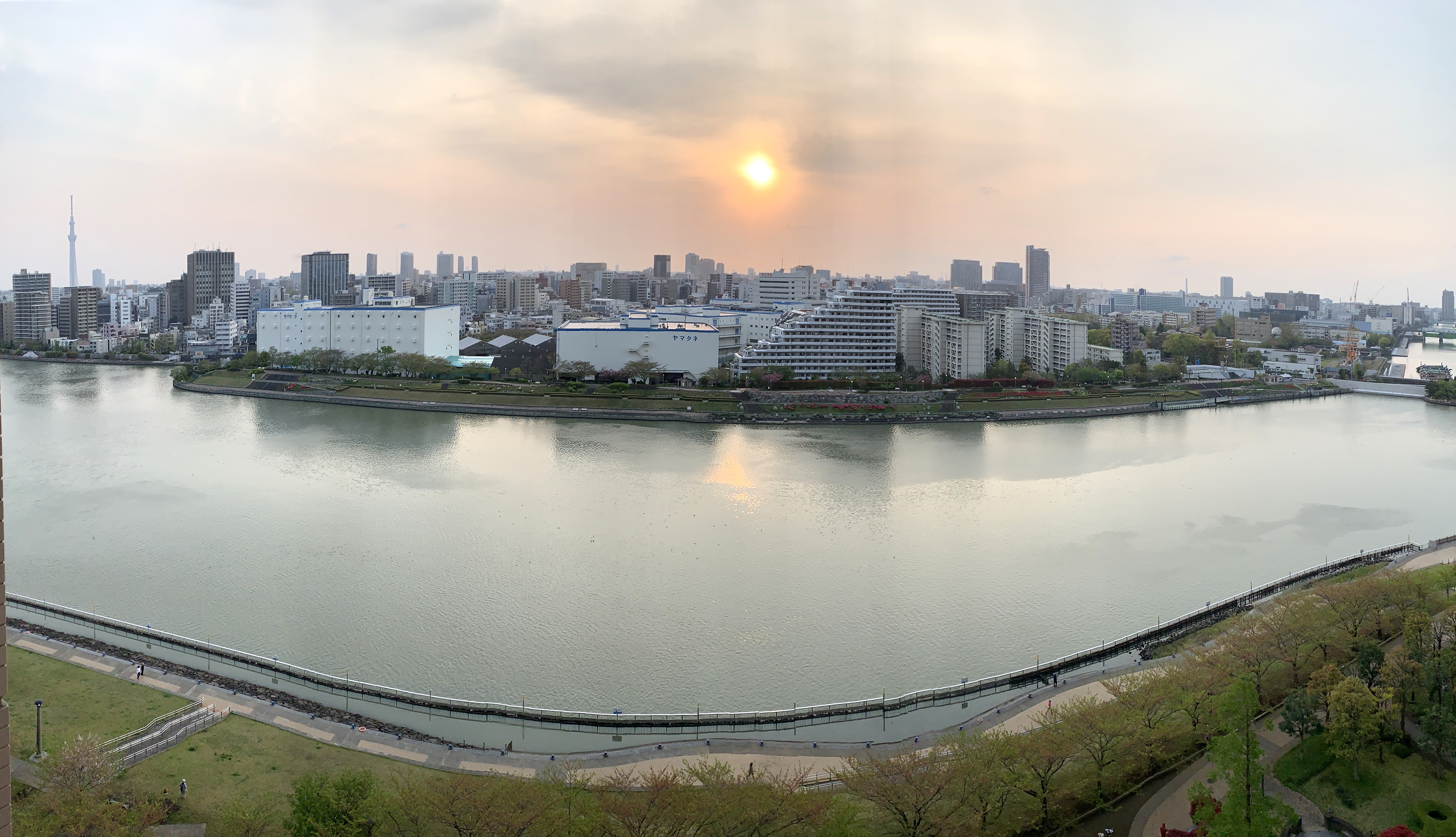 どんな時でも優しく照らす太陽「できることもたくさんある」