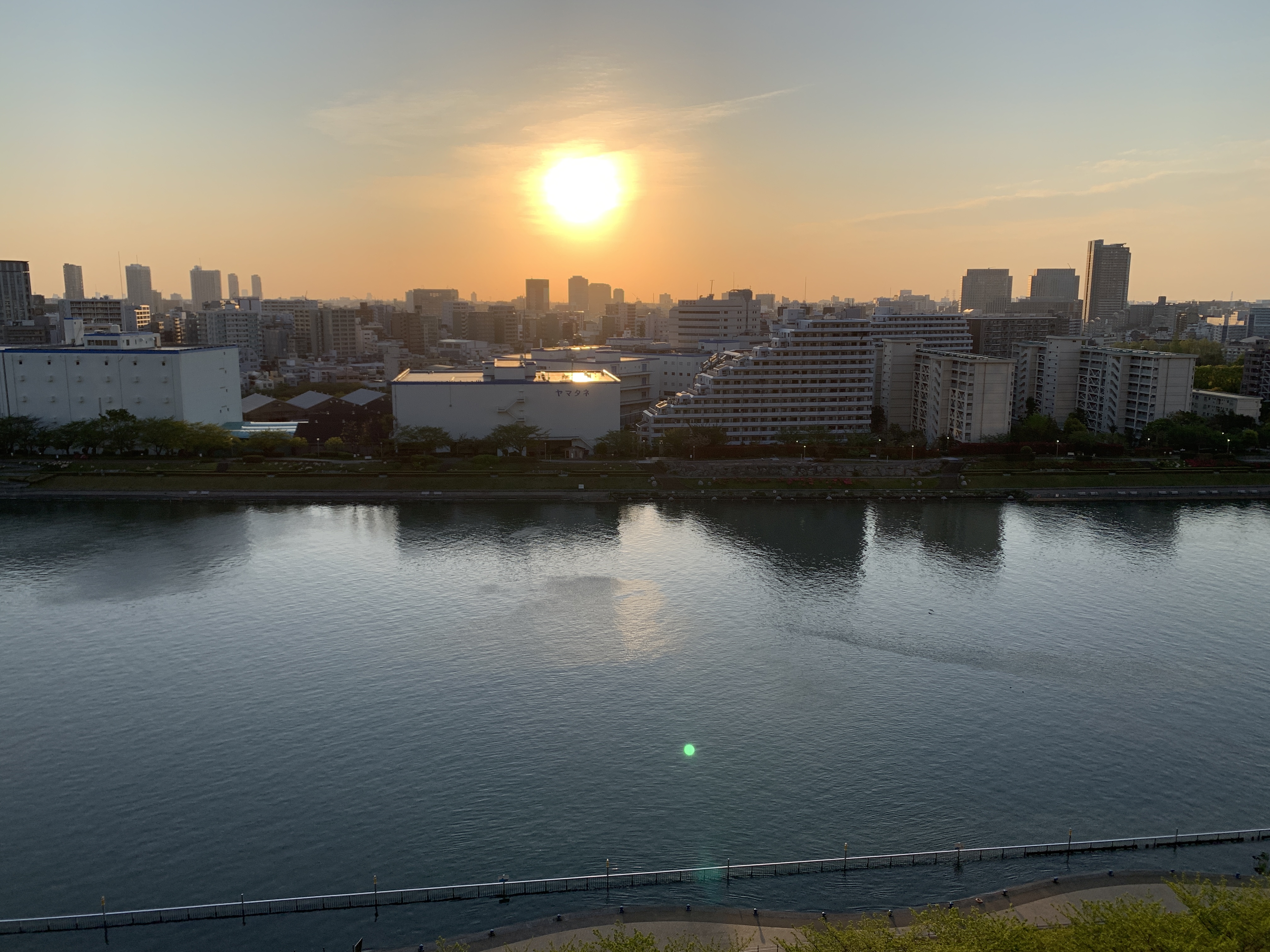 大きな大きなお日様「陽の光を浴びよう」