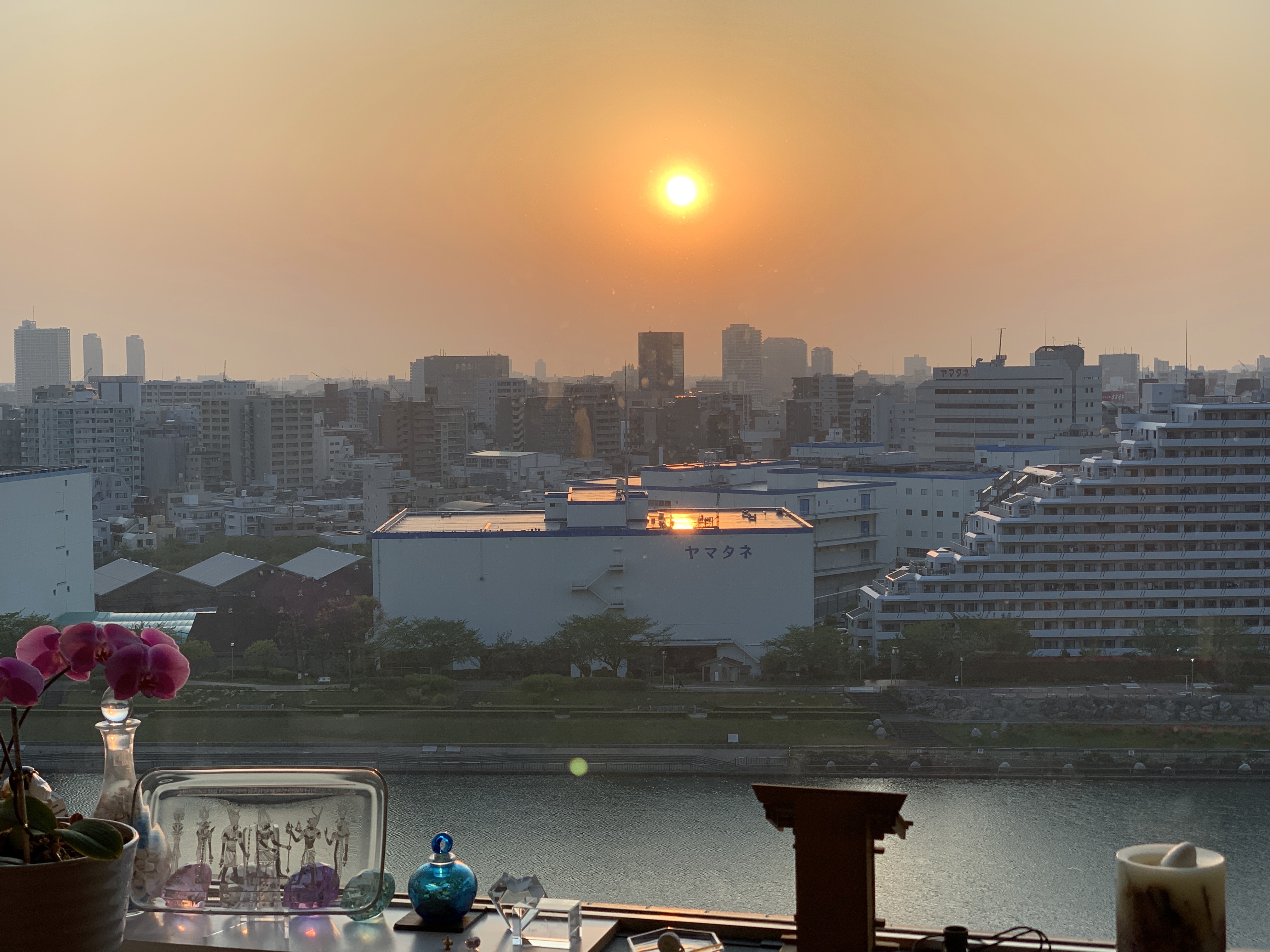 空気が澄み渡った朝「今は見直しの時期」