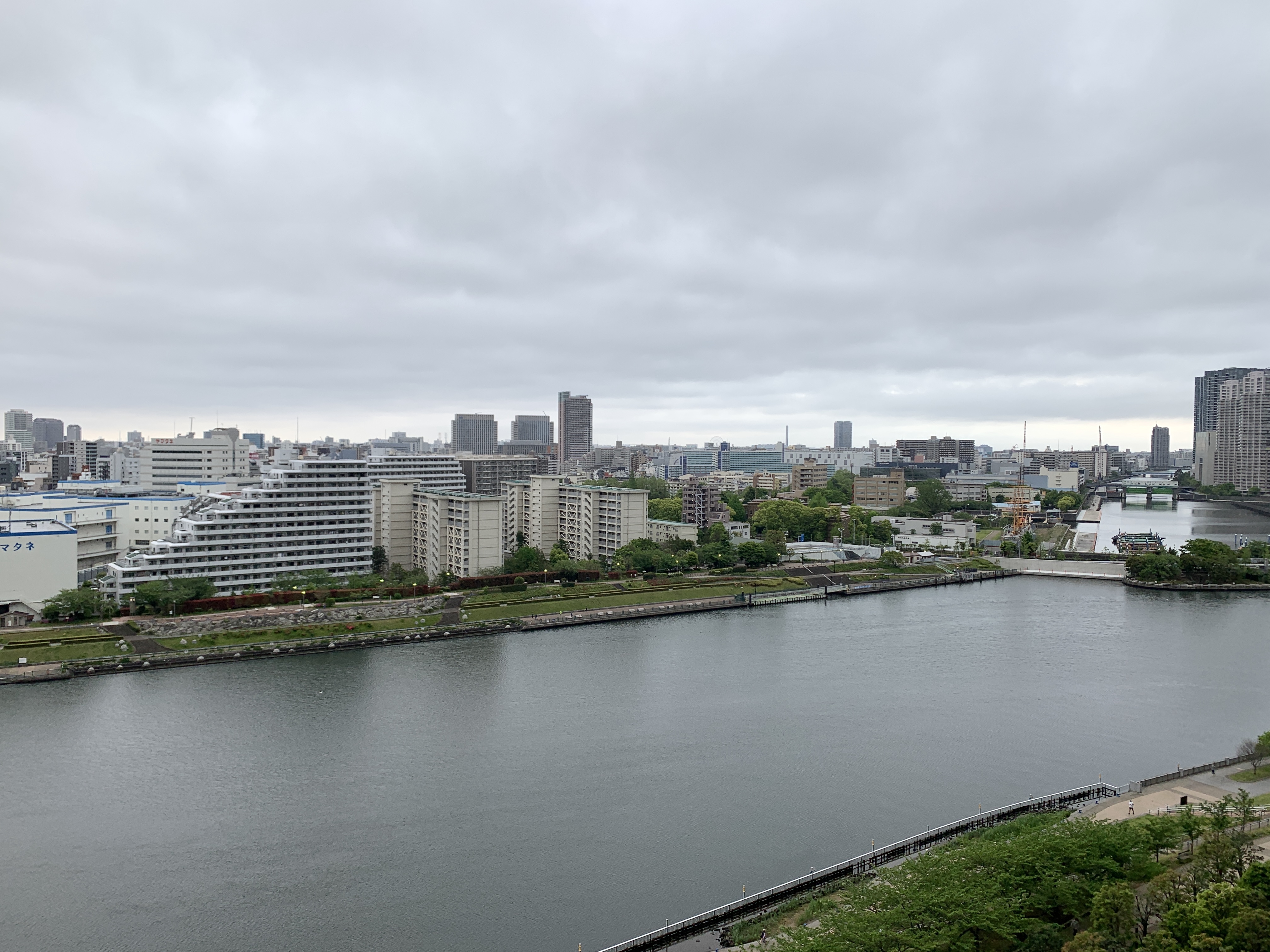 冷んやりとした朝「毎日を大切に」