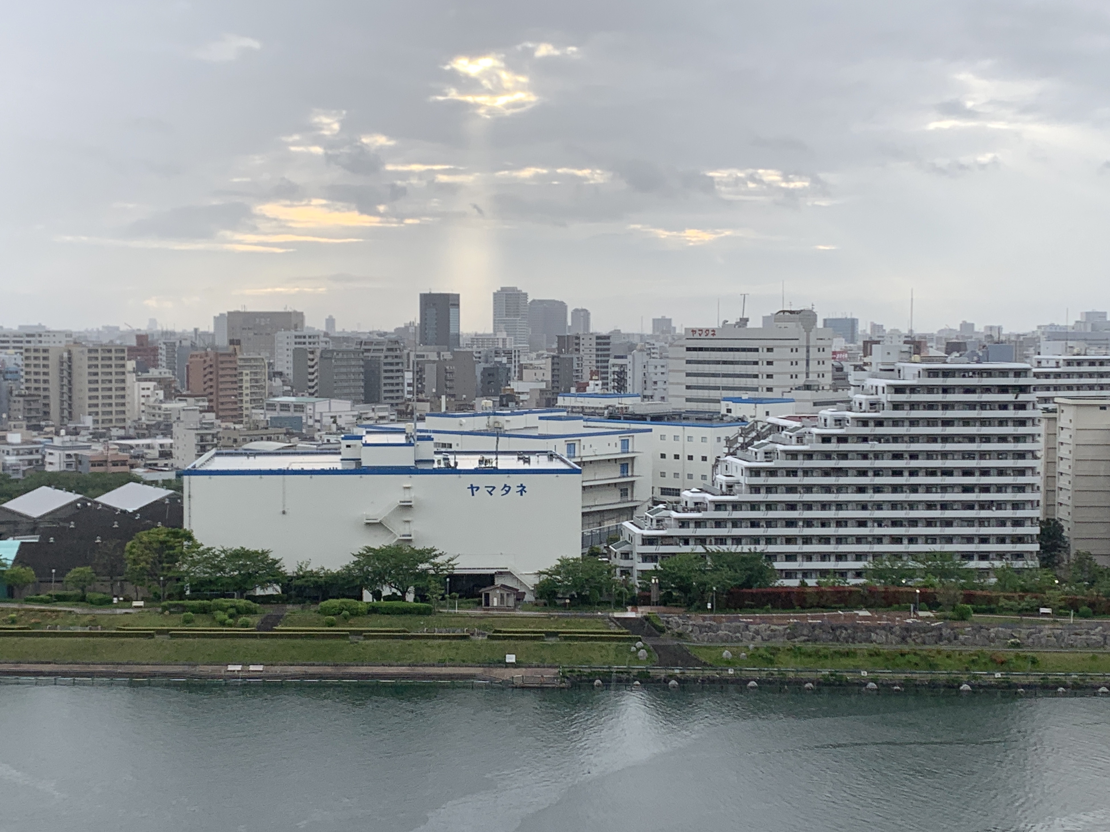 ひと筋の朝陽「ありがとう」