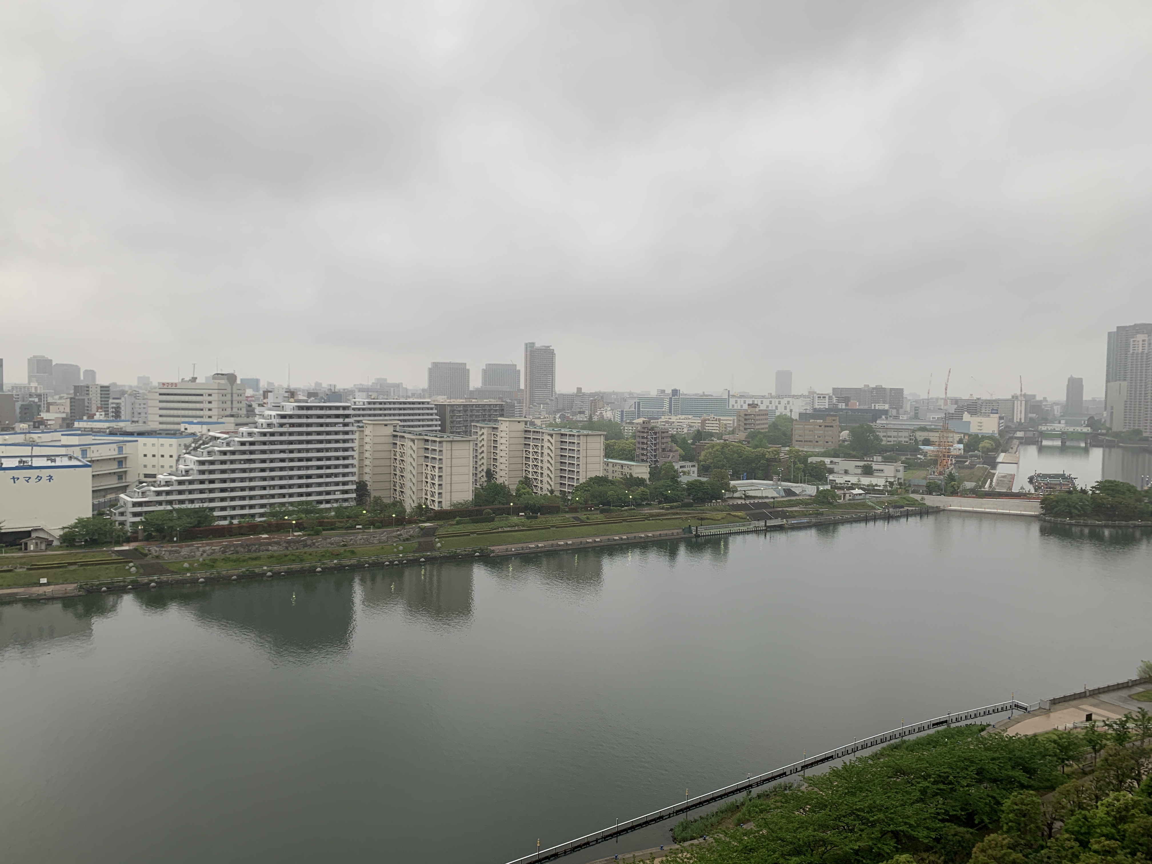 どこまでも淡いグレーの空「見守る」