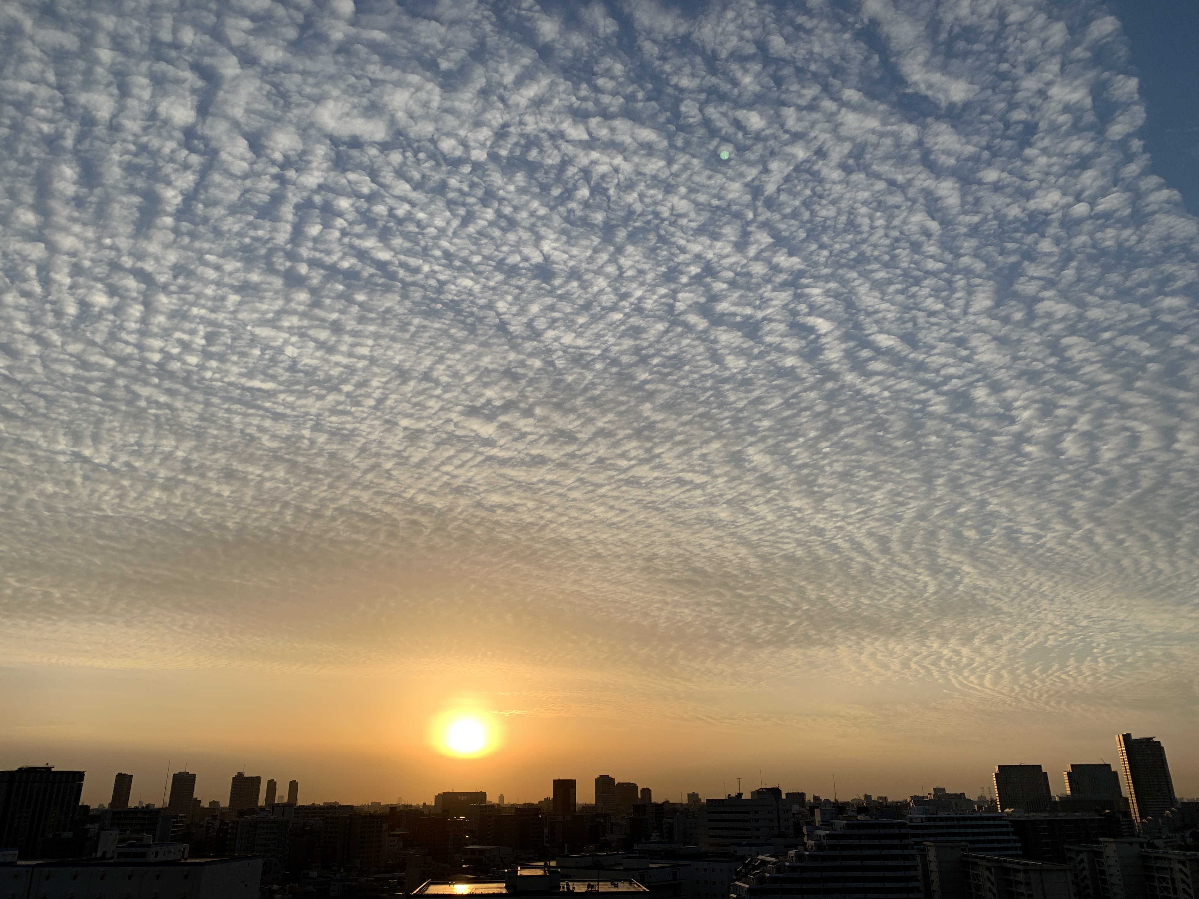 見事なうろこ雲「やってみよう」