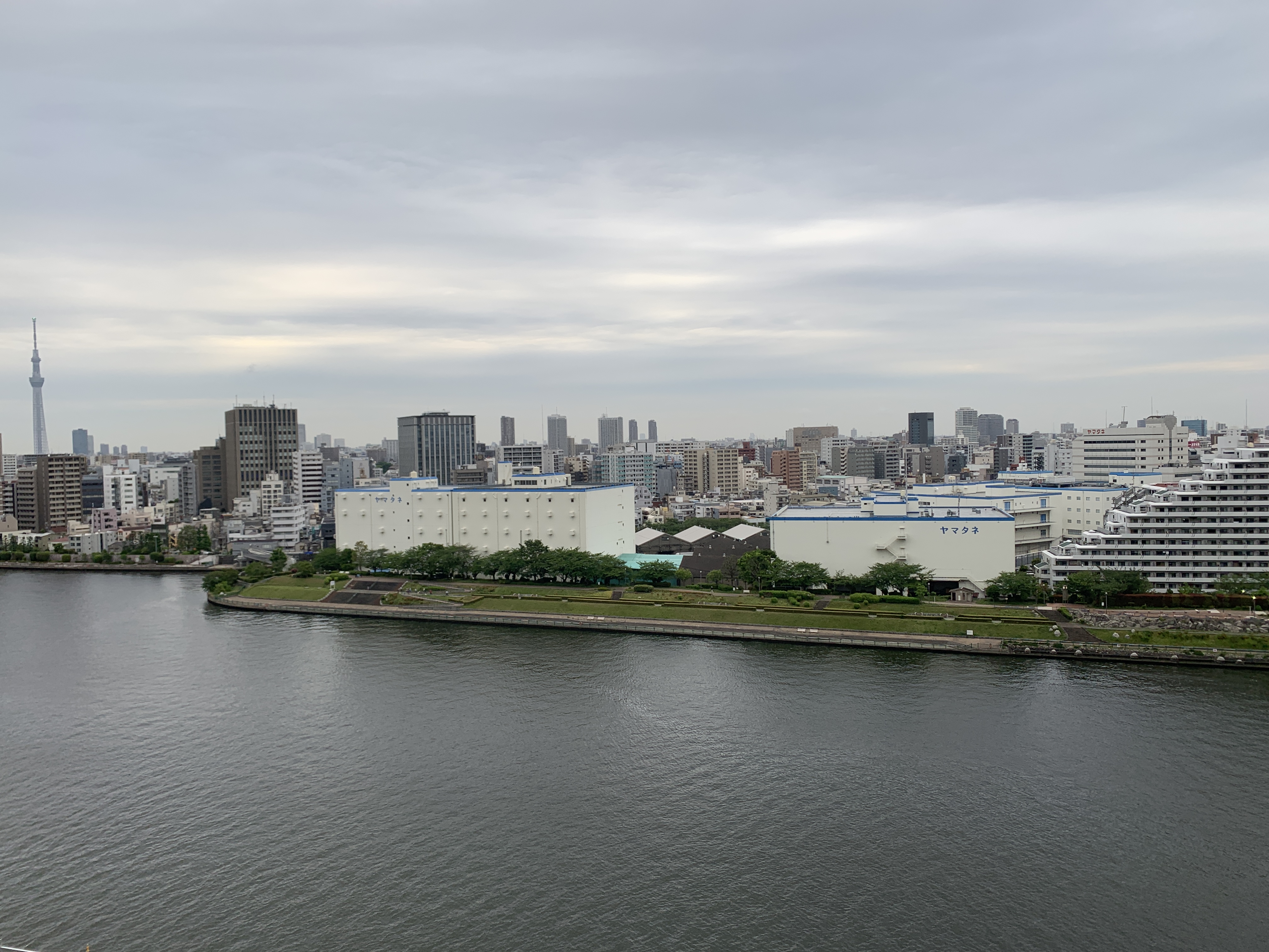 空一面の明るい雲「自分の味方は自分だけ」