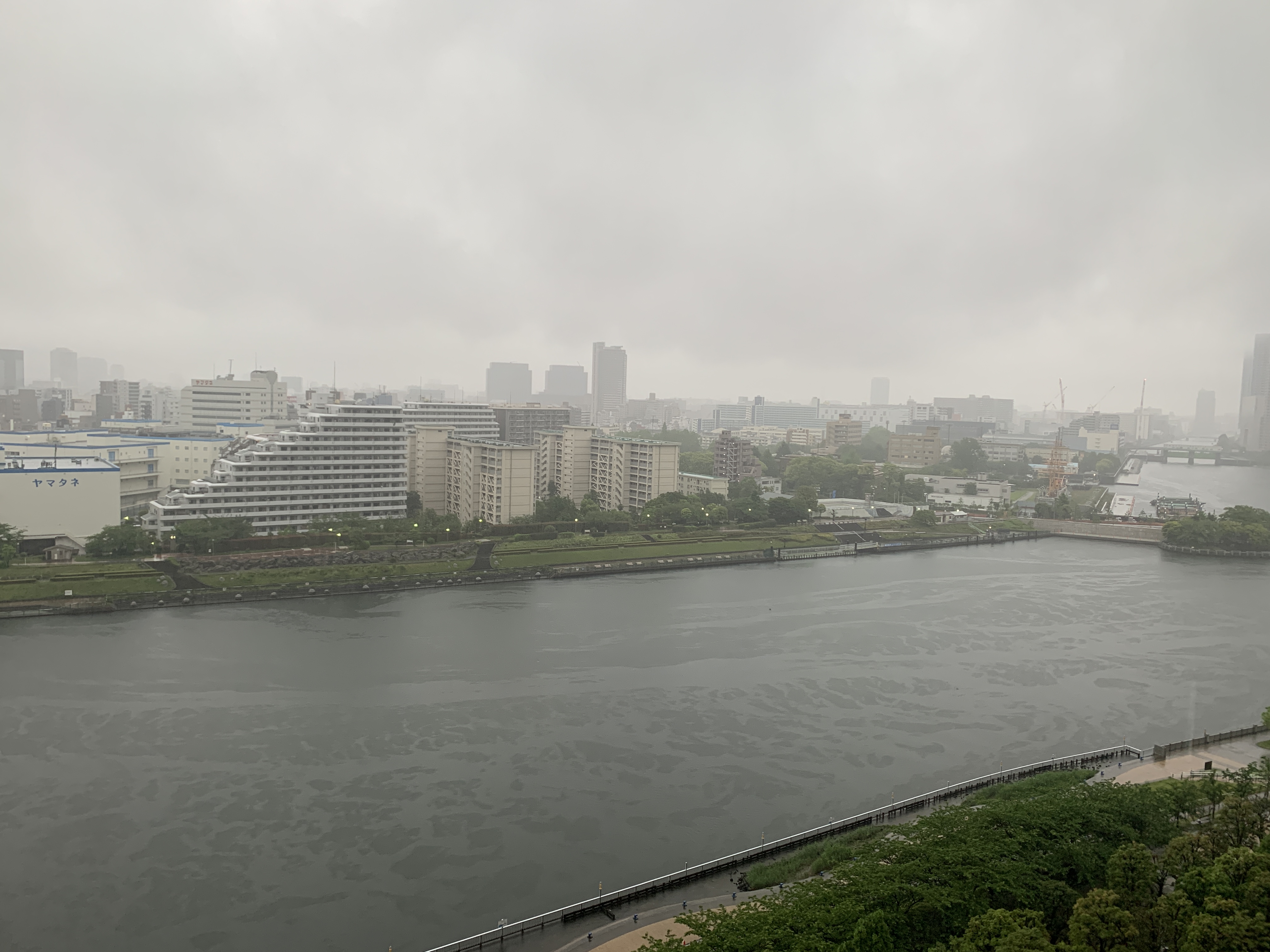 シトシト雨模様「人間の厚み」☔️