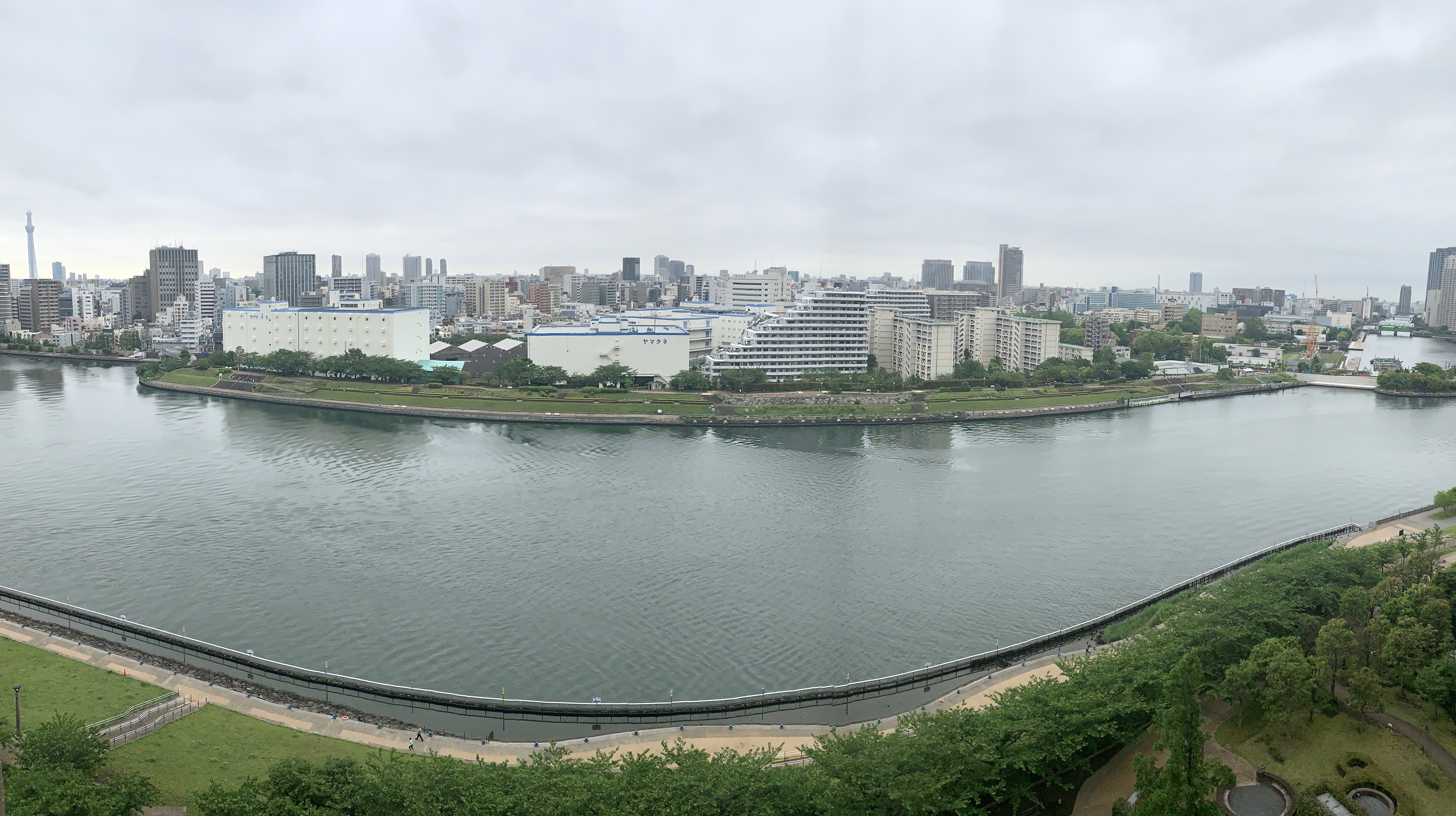 雨上がり冷んやり感が気持ちいい朝「いいことあるよ」💞