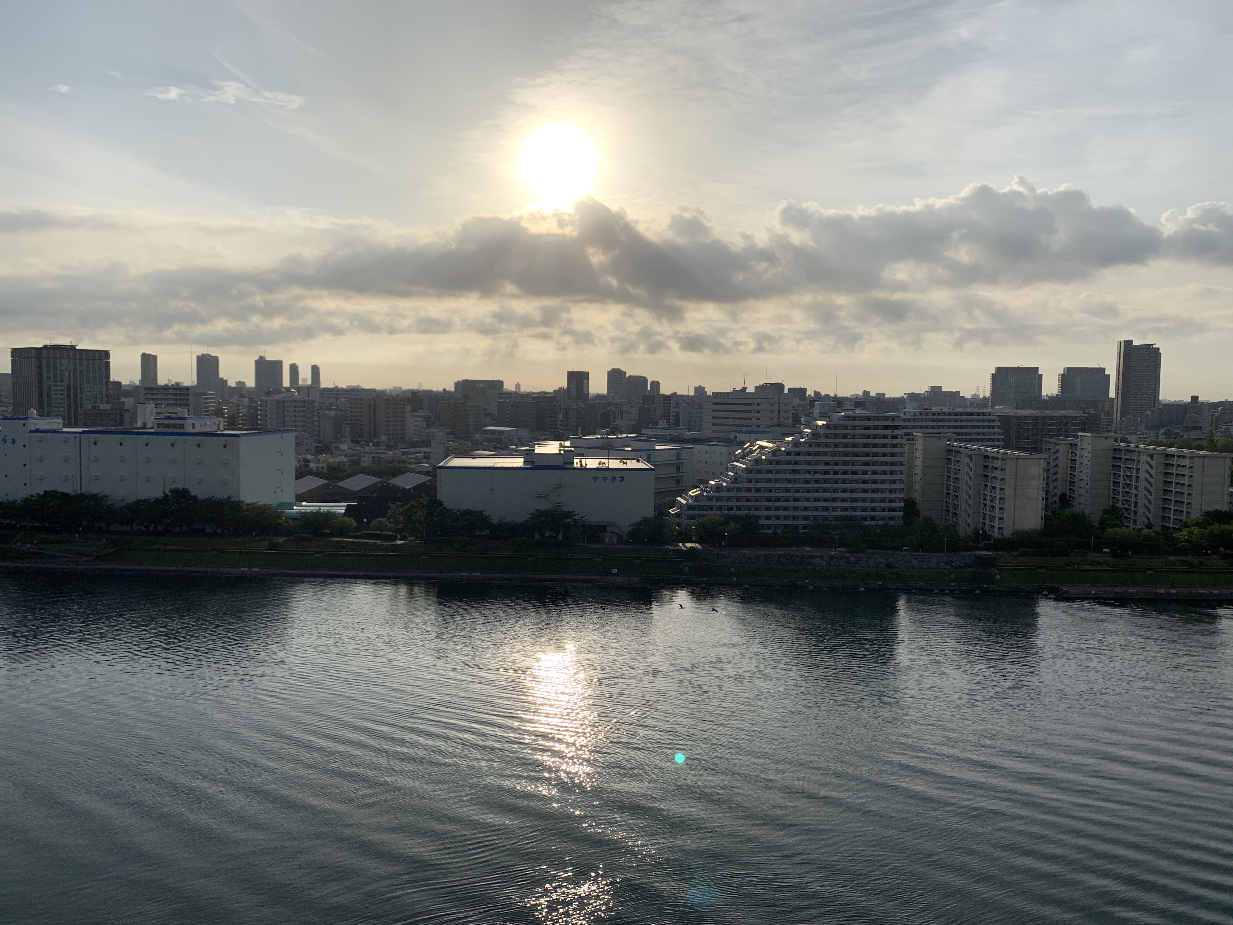 大きなお日さま「無理はしない」☀️