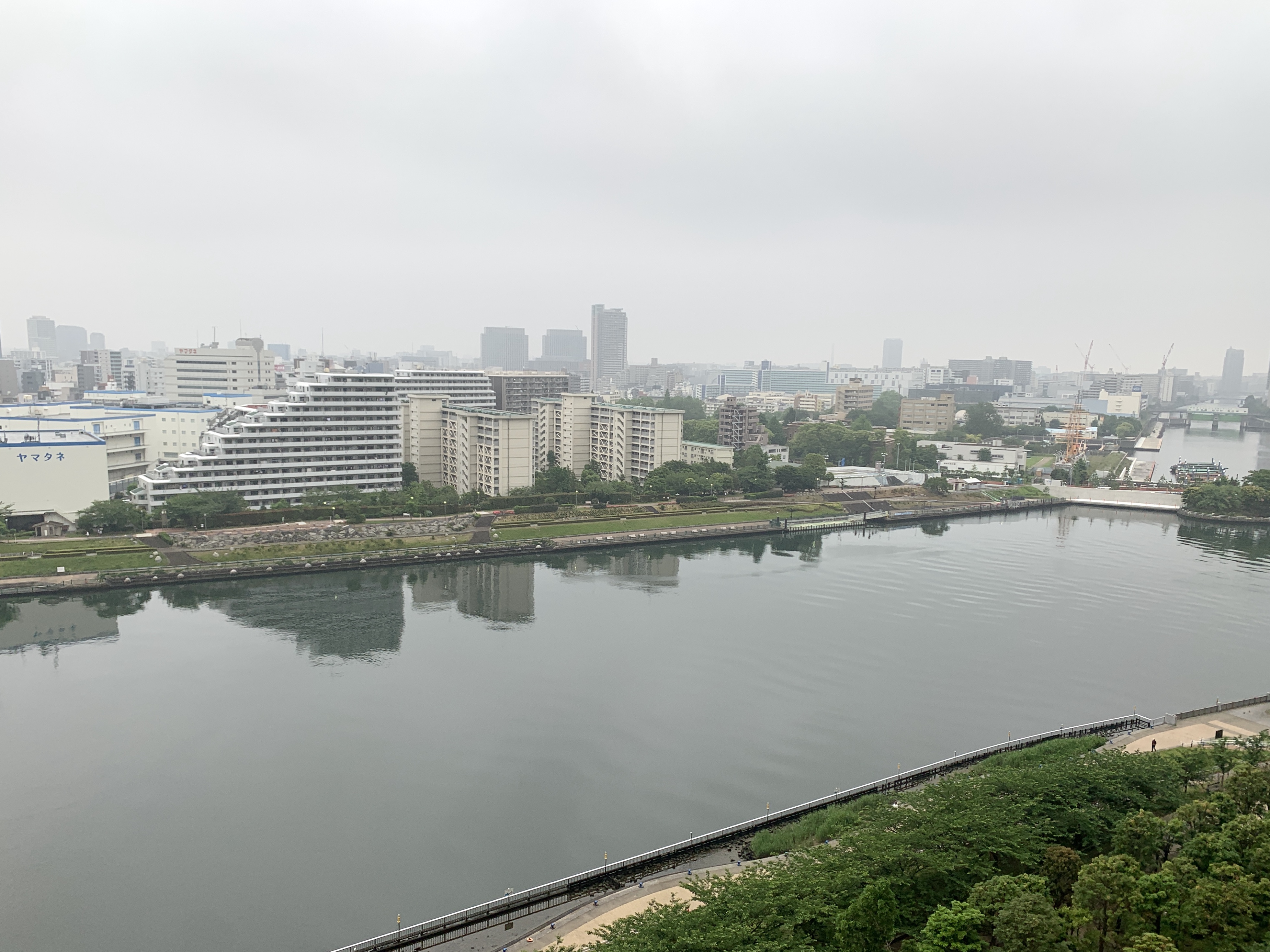 雨は降らずに済みそう「あえて言わない」