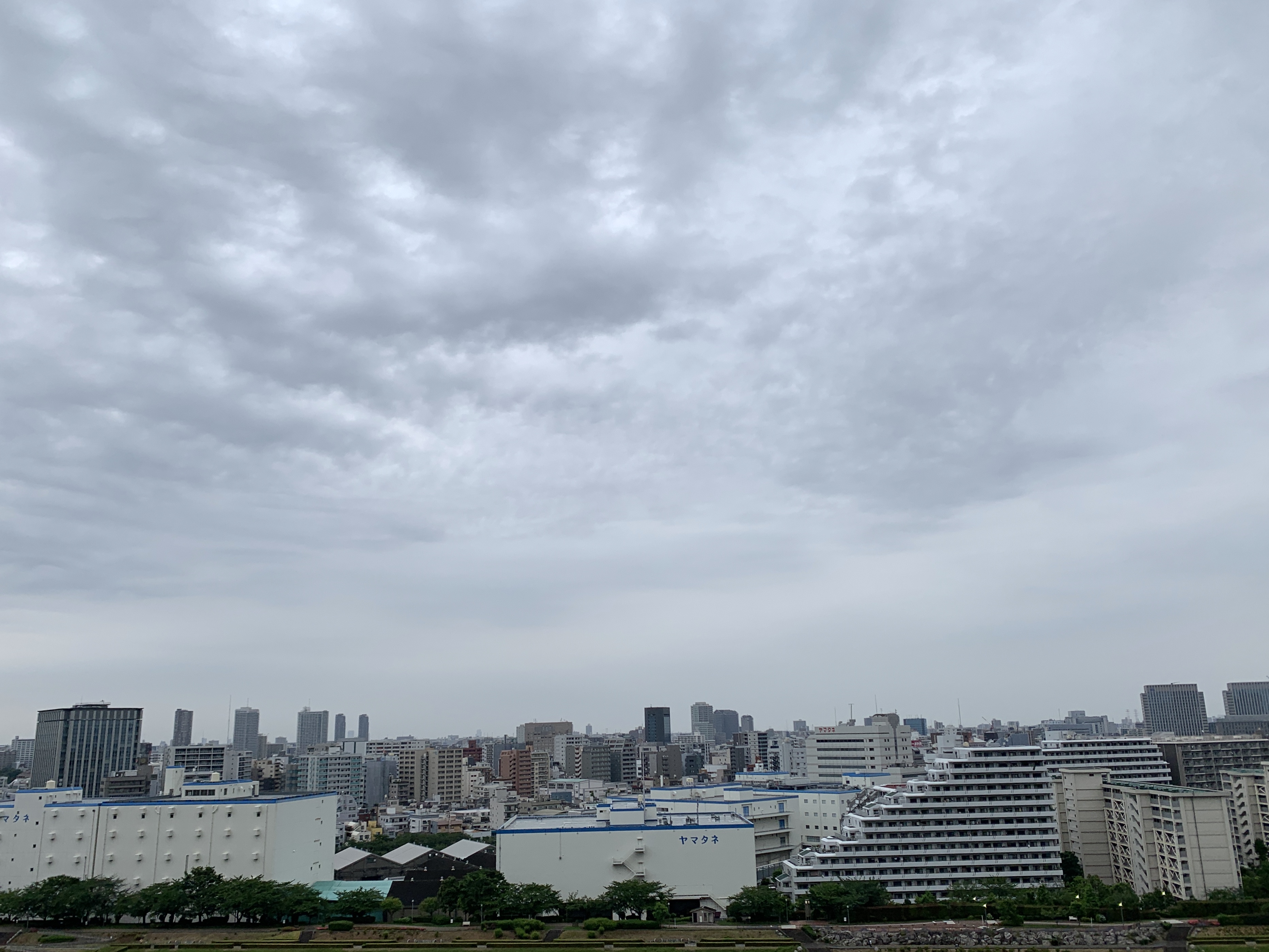 冷んやりの雨上がり「きっとできる」