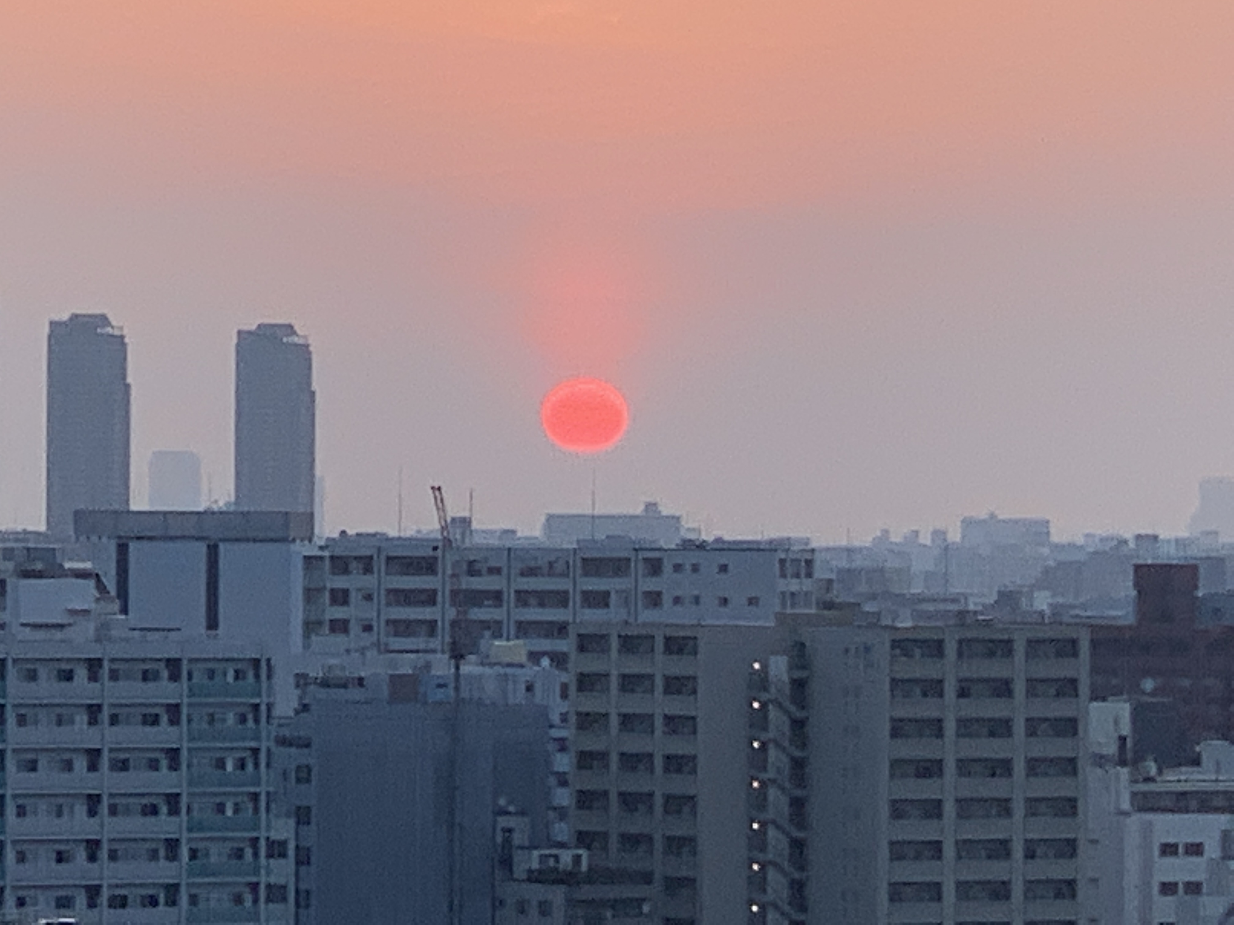 真っ赤な太陽「忙しい時こと時間を大切に」