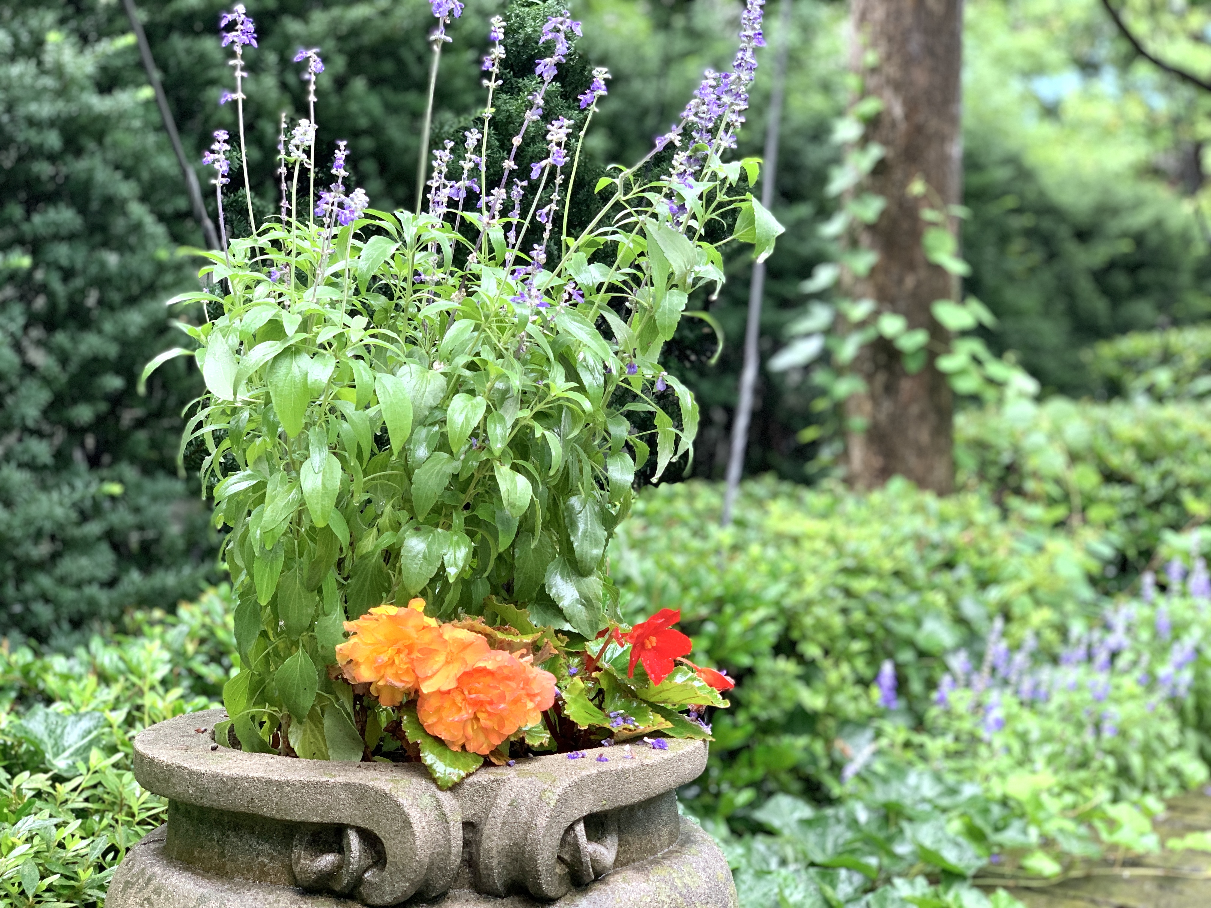 晴れてきました⛅️