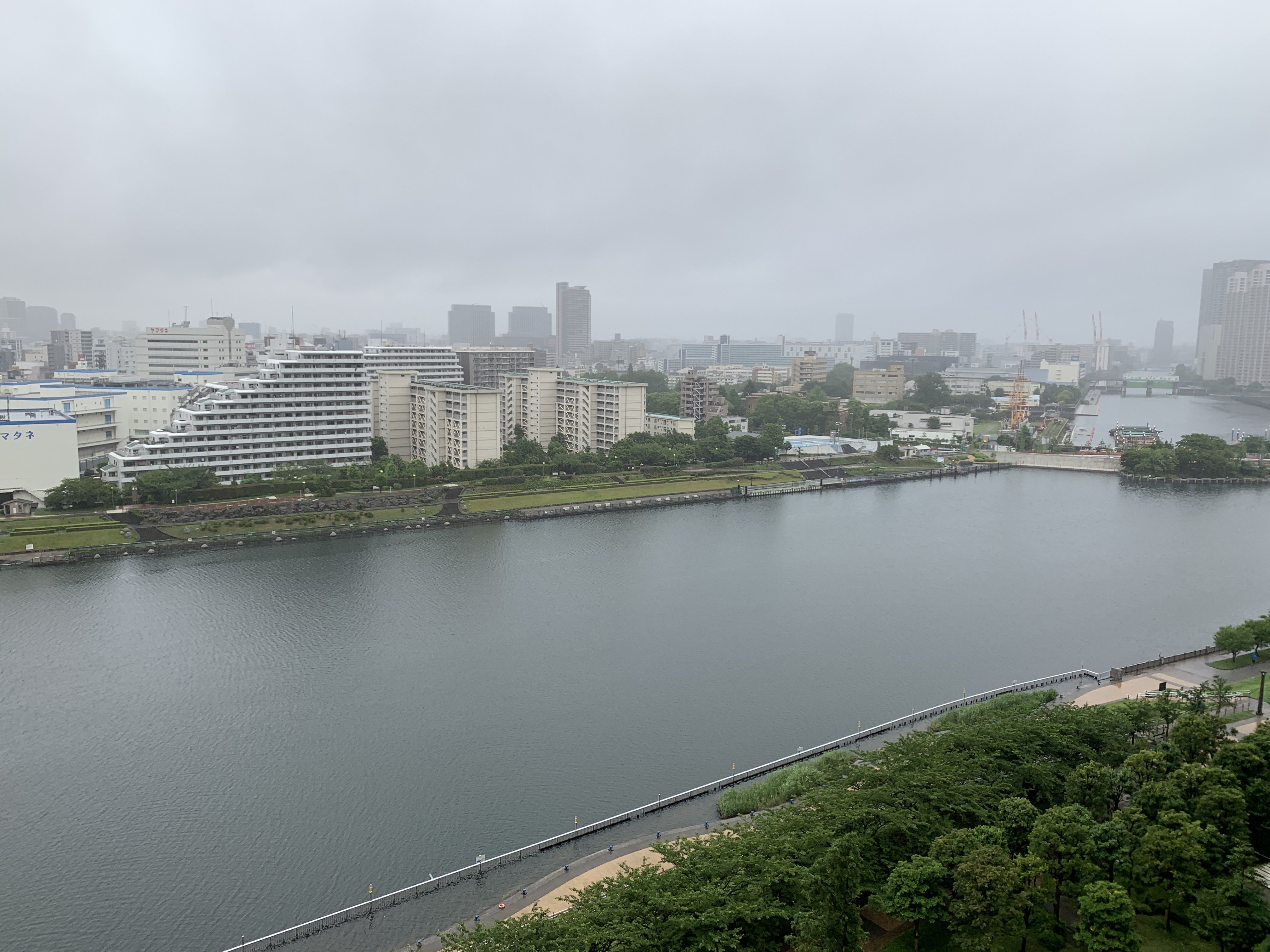 今朝も真っ白で小雨の朝「他人と過去が変わることも」