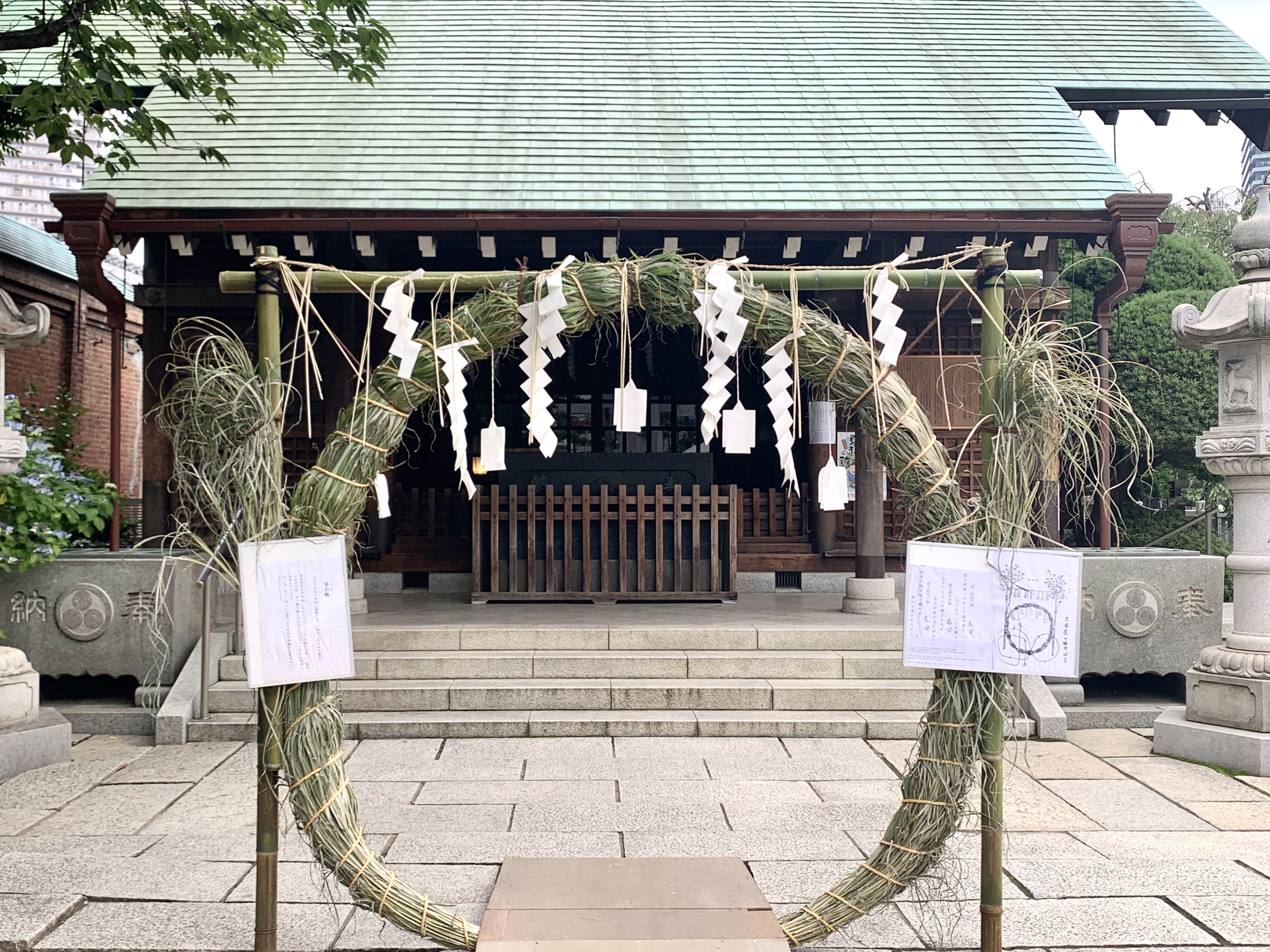 茅の輪くぐり⛩