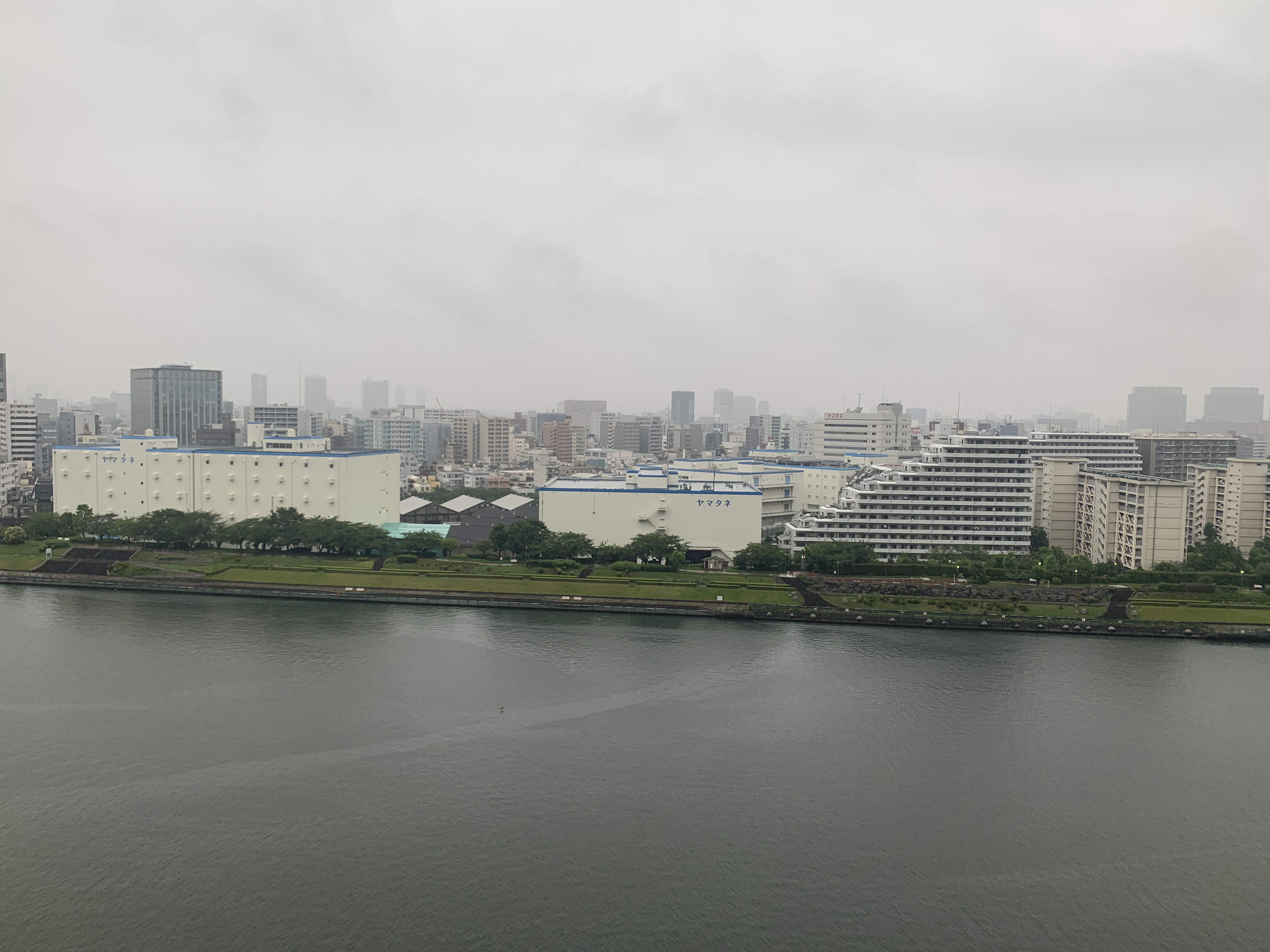 1日梅雨空「良い思考をしよう」