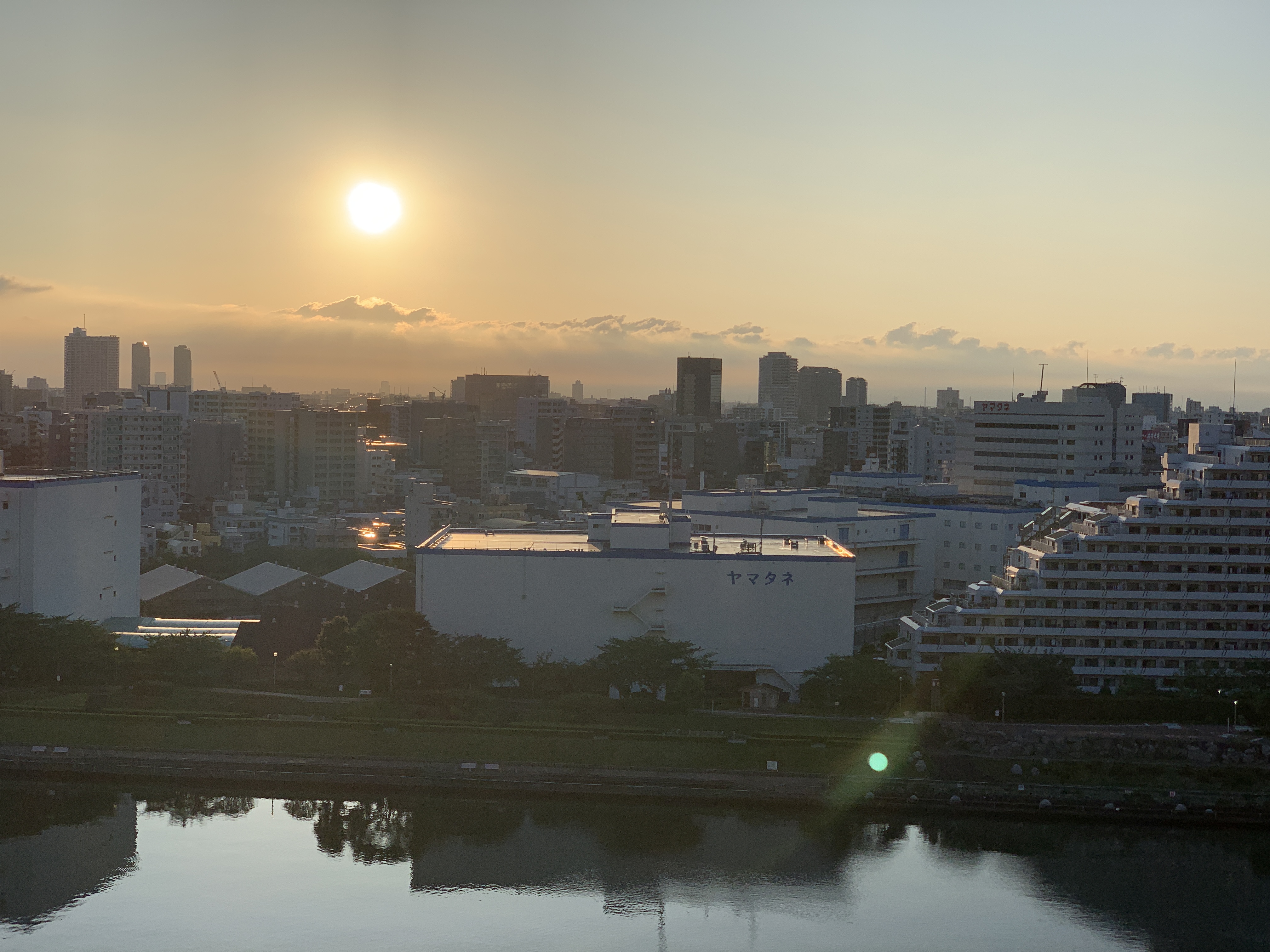 久しぶりの大きな太陽「光も愛も増やしましょう」