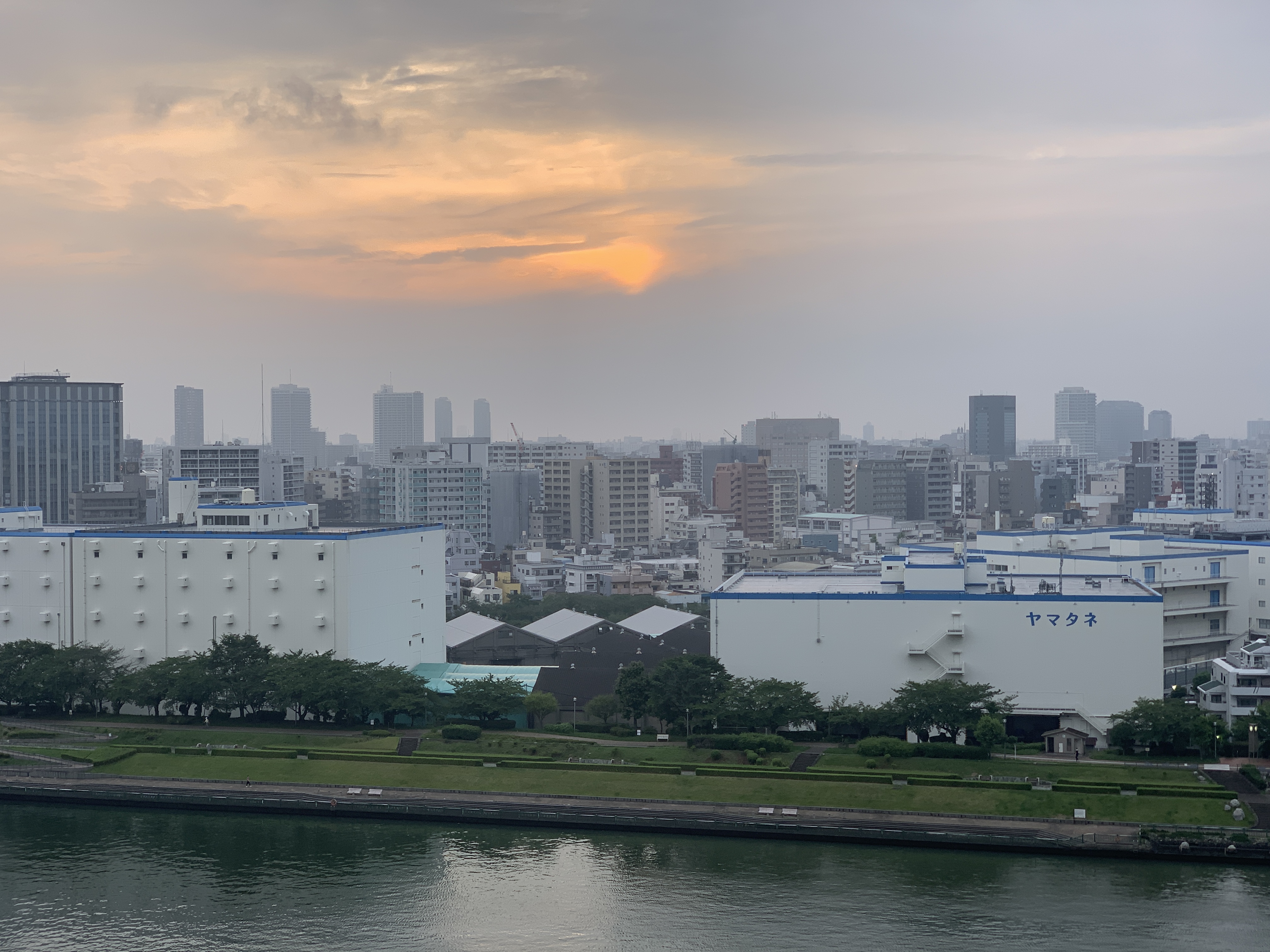 グレーの空に一点太陽「言葉にしよう」