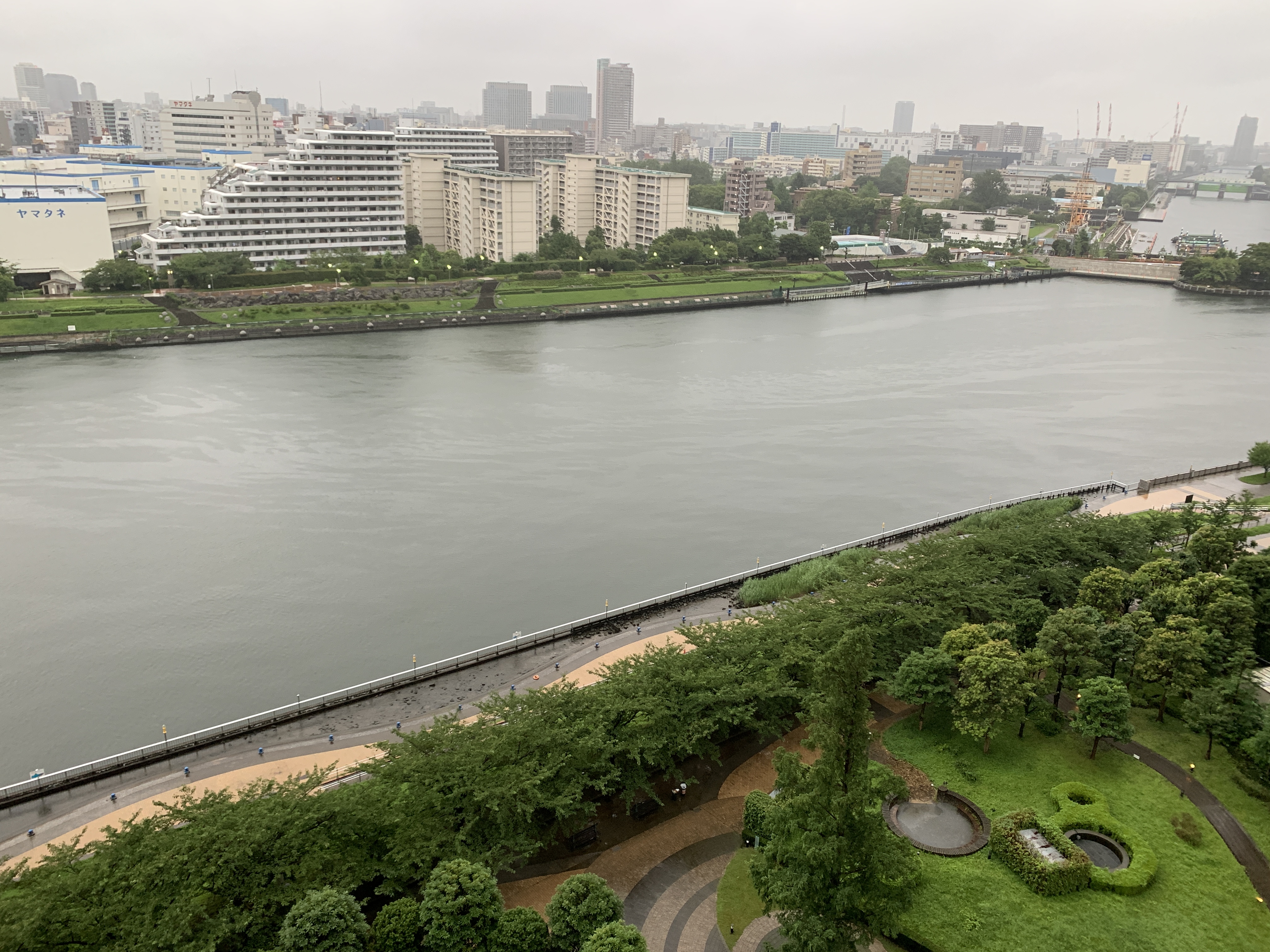 今朝も梅雨空「時間が解決」