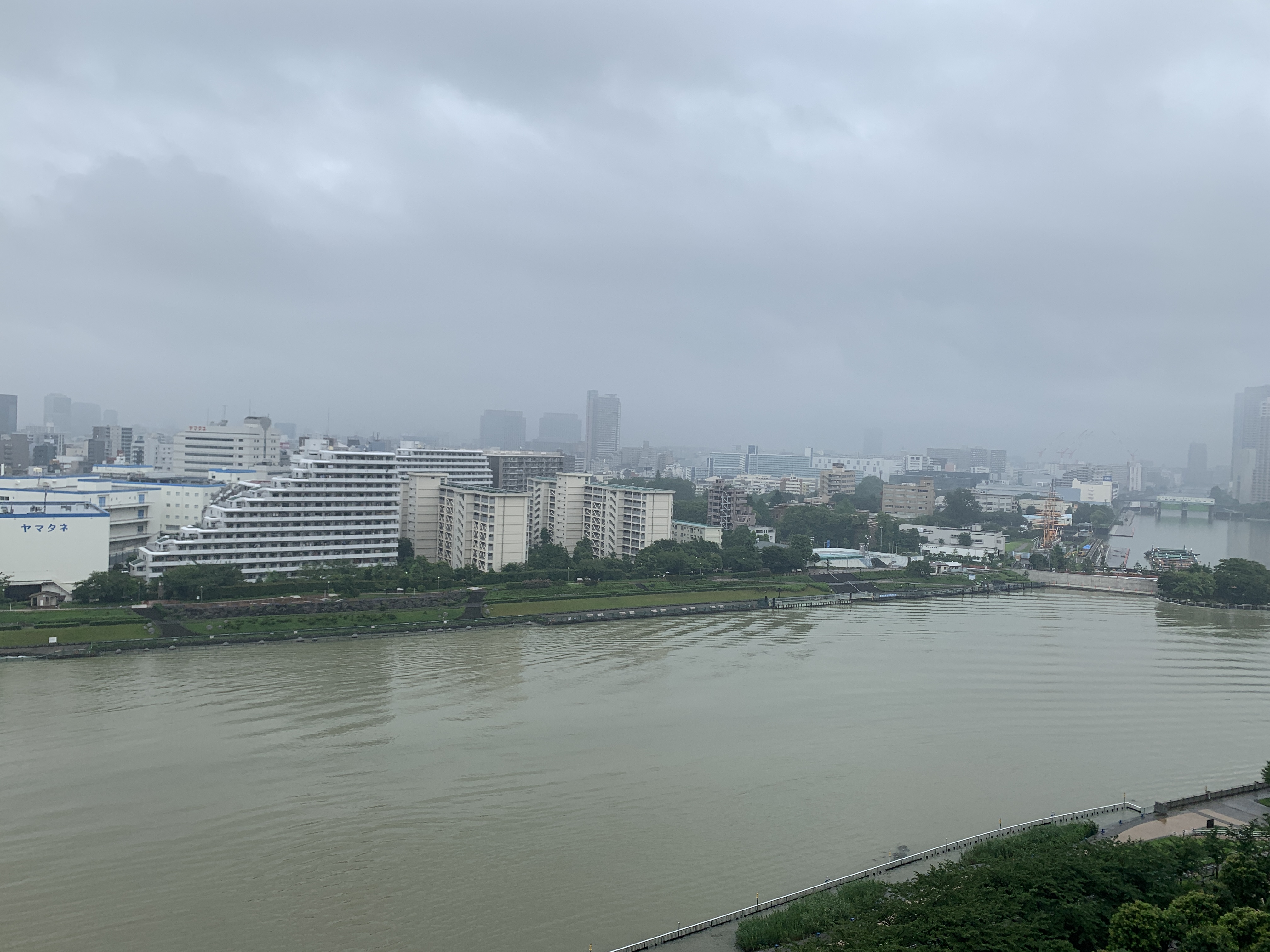 肌寒い朝「今日のことは明日にのばさない」