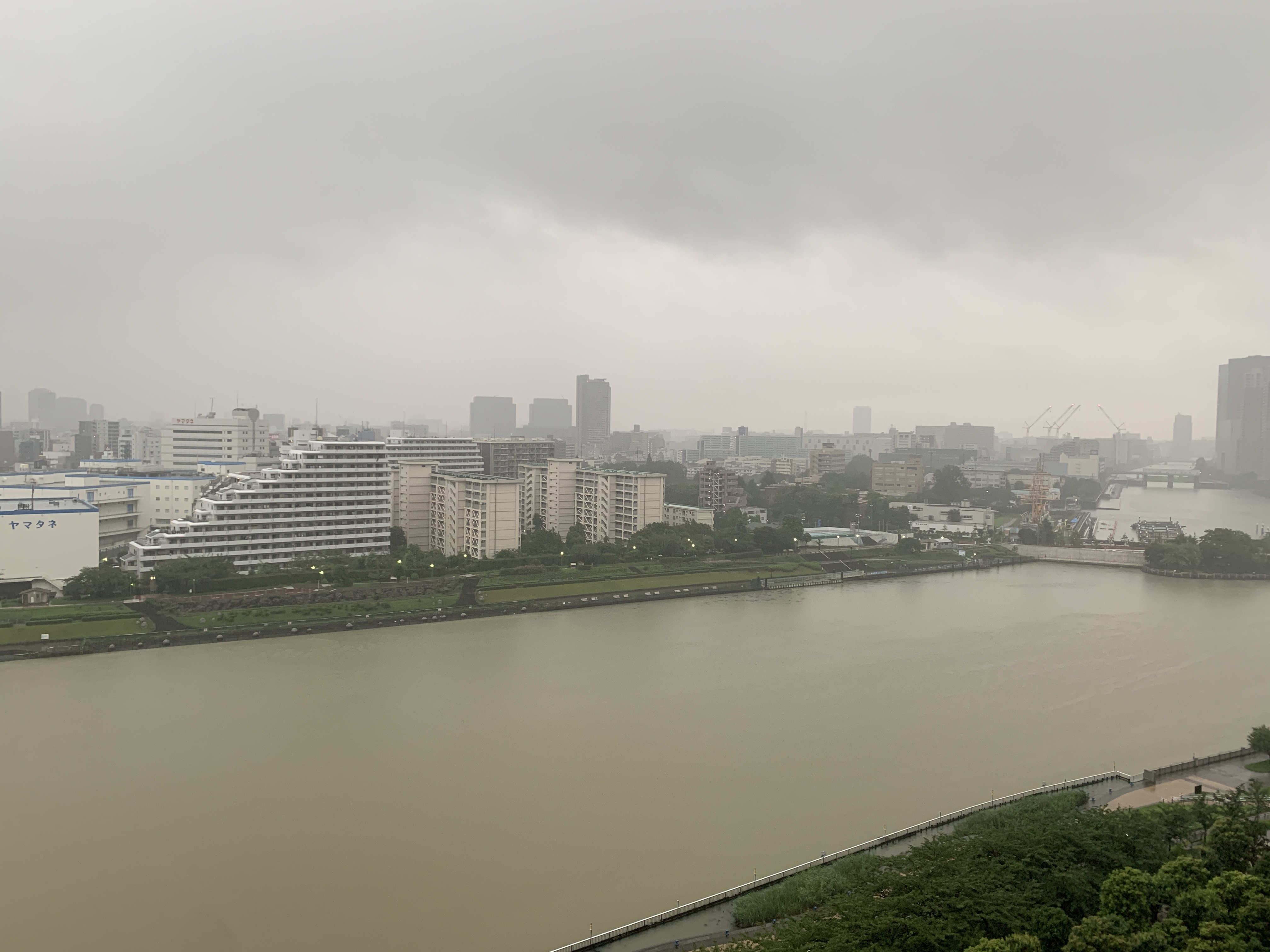 土砂降りの朝「遊び心」