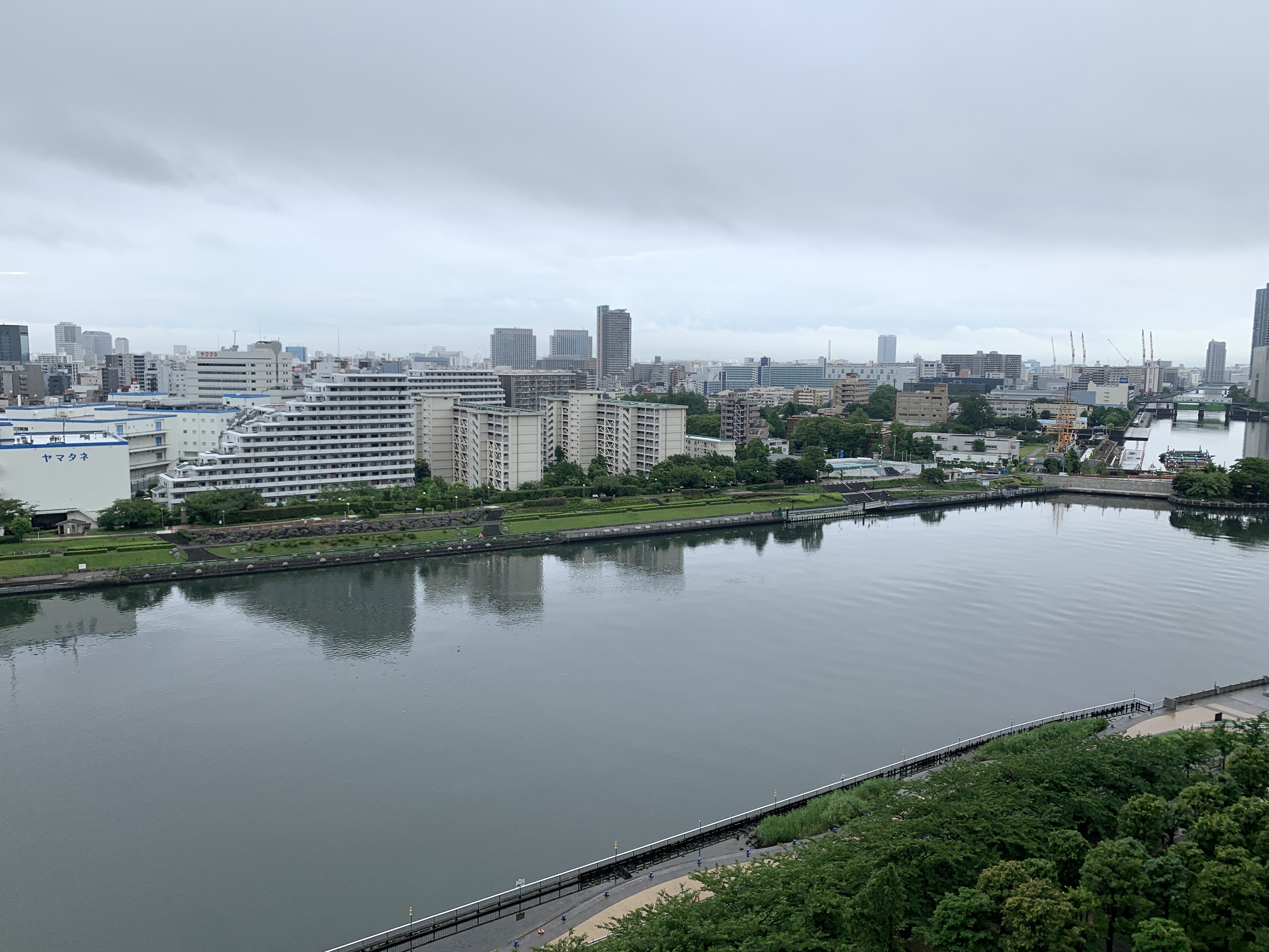 青空が見えてきました「明日はいつまでも明日」