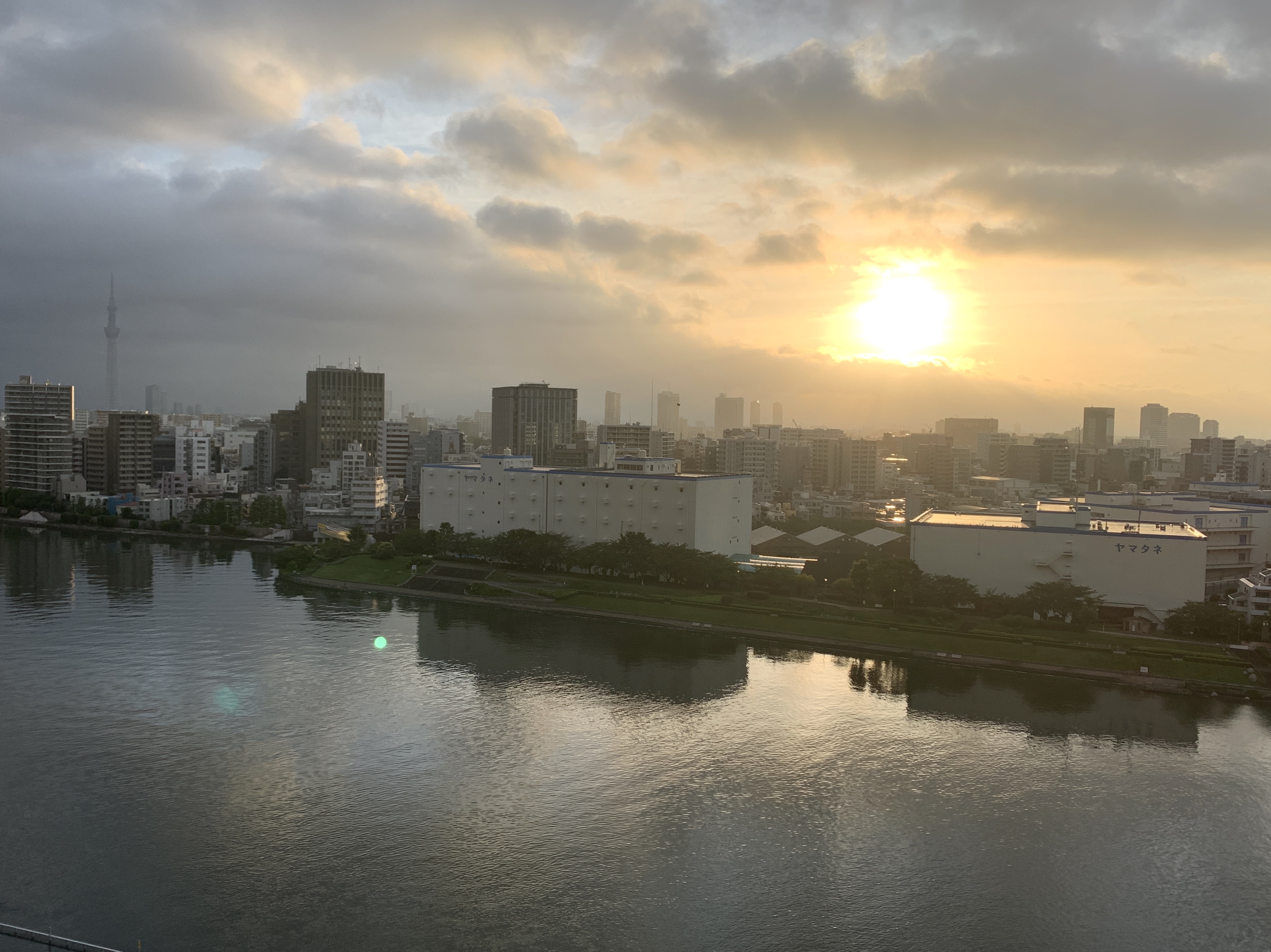 お日様元気に爆発中「頑張らなくても上手くいく」