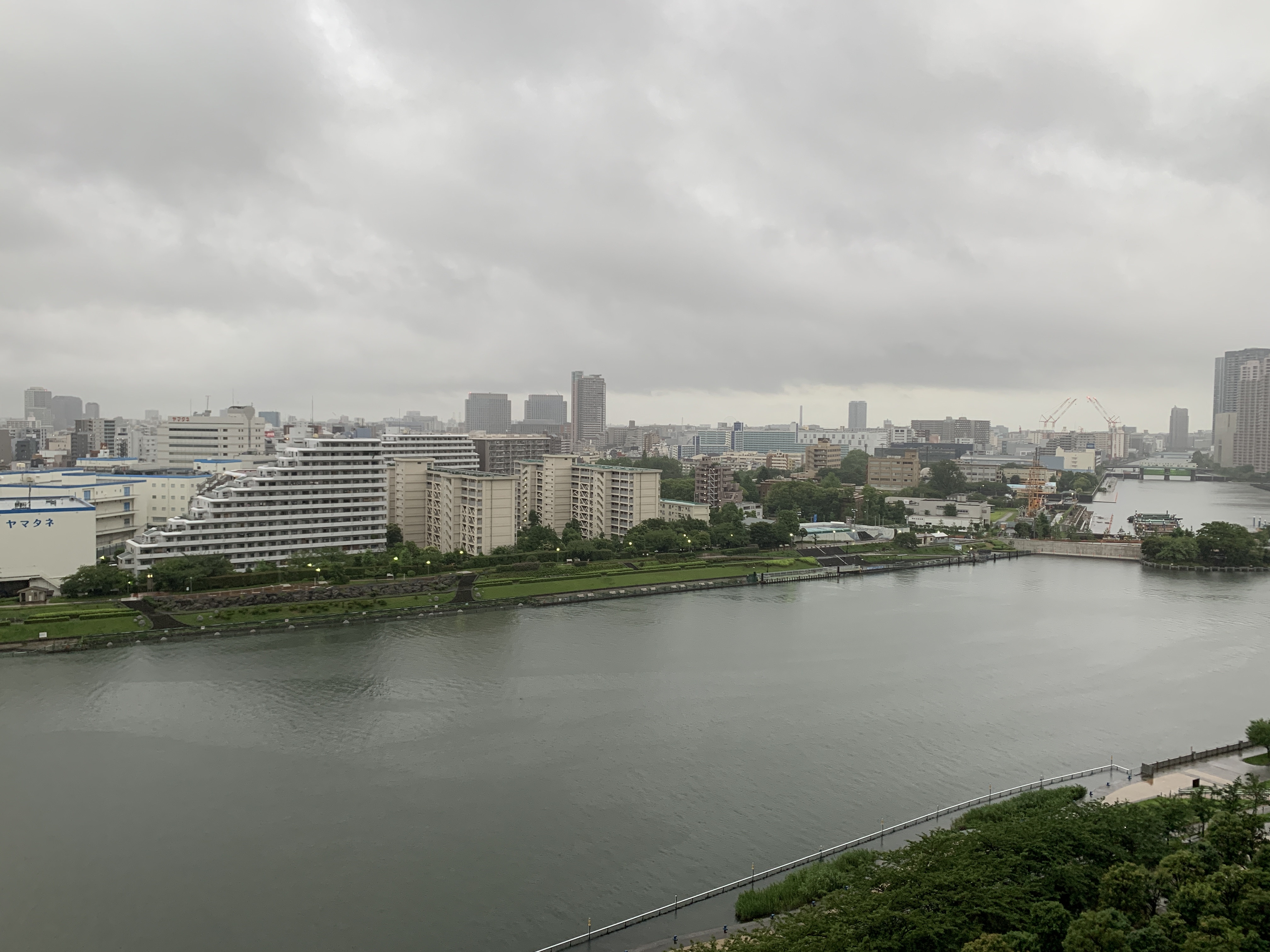 涼しい雨の朝「表現しよう」