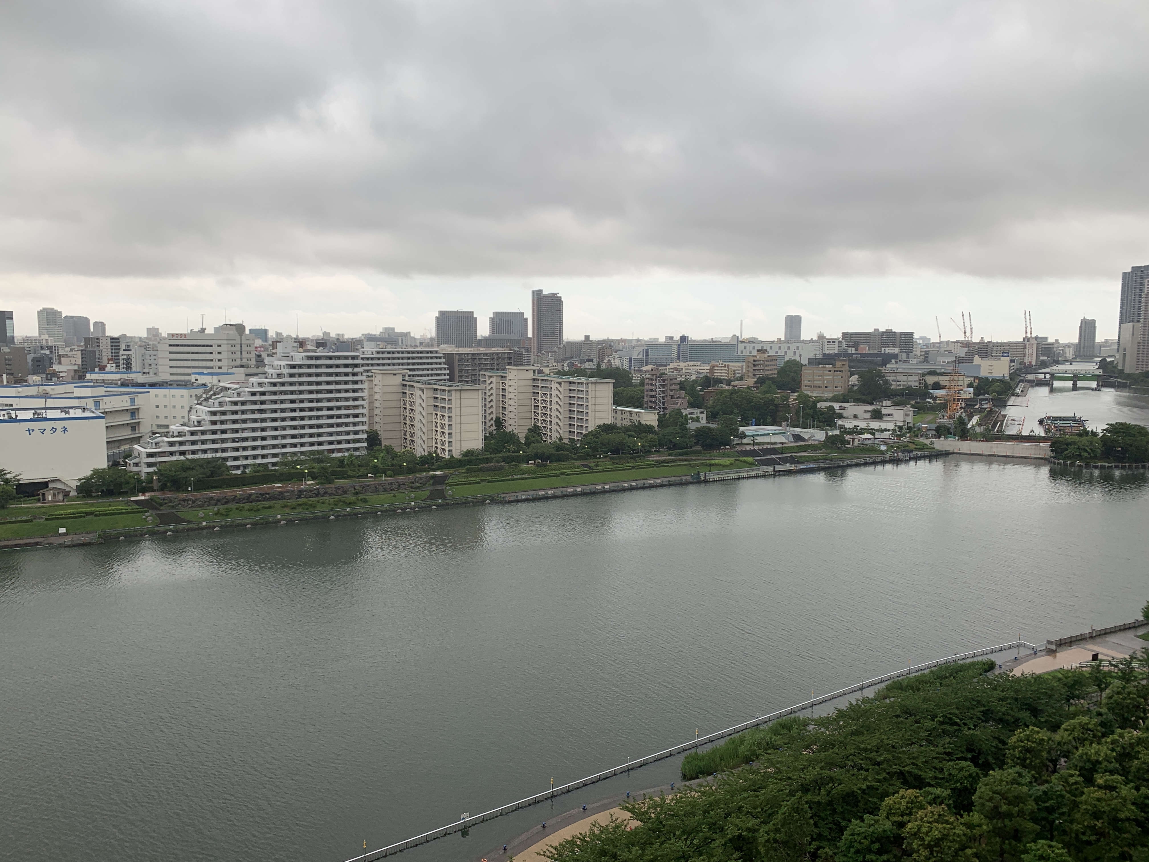 梅雨らしい小雨の朝「できない約束はしない」