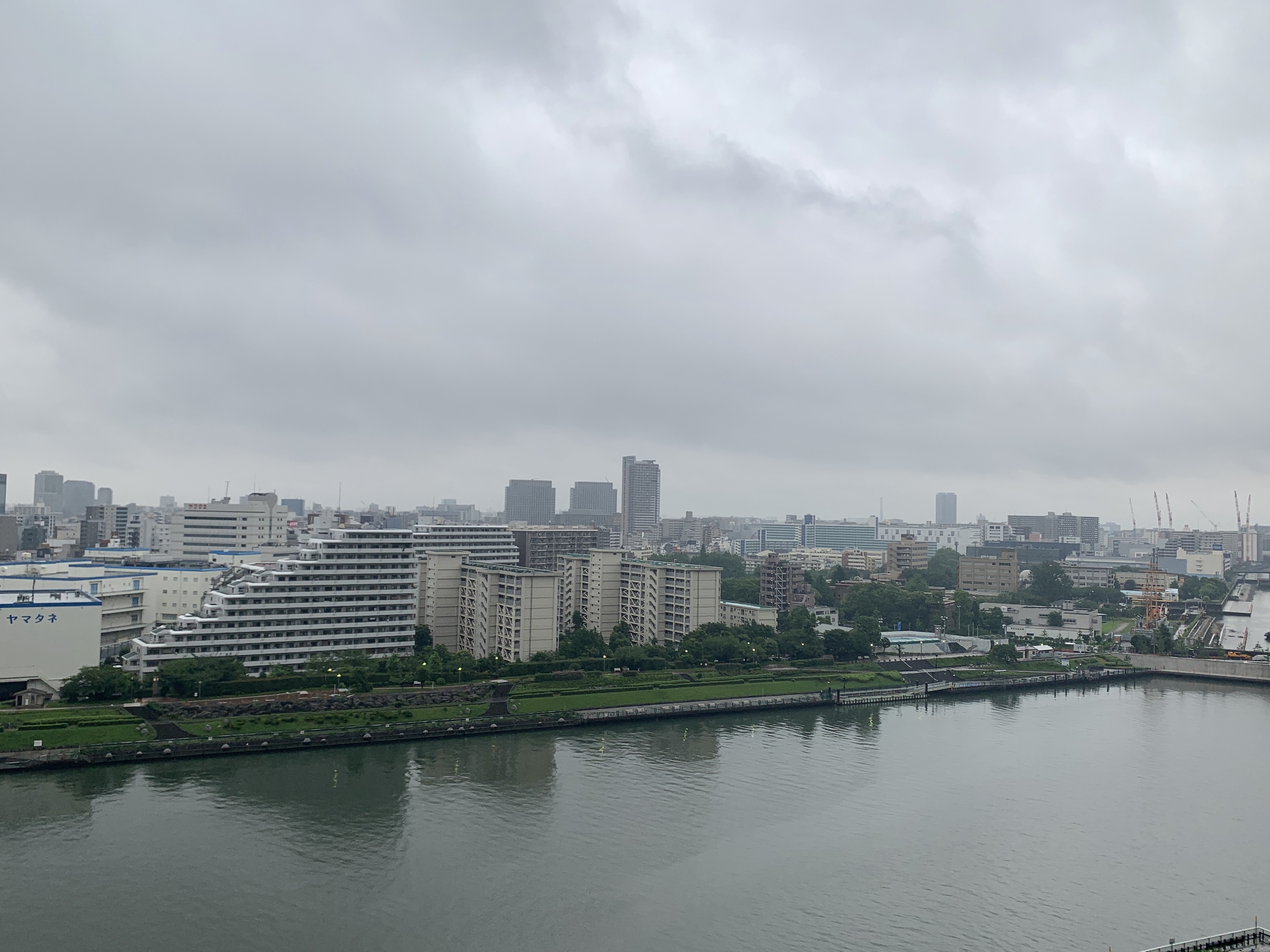 真っ白な小雨混じりの朝「すみませんよりありがとう」