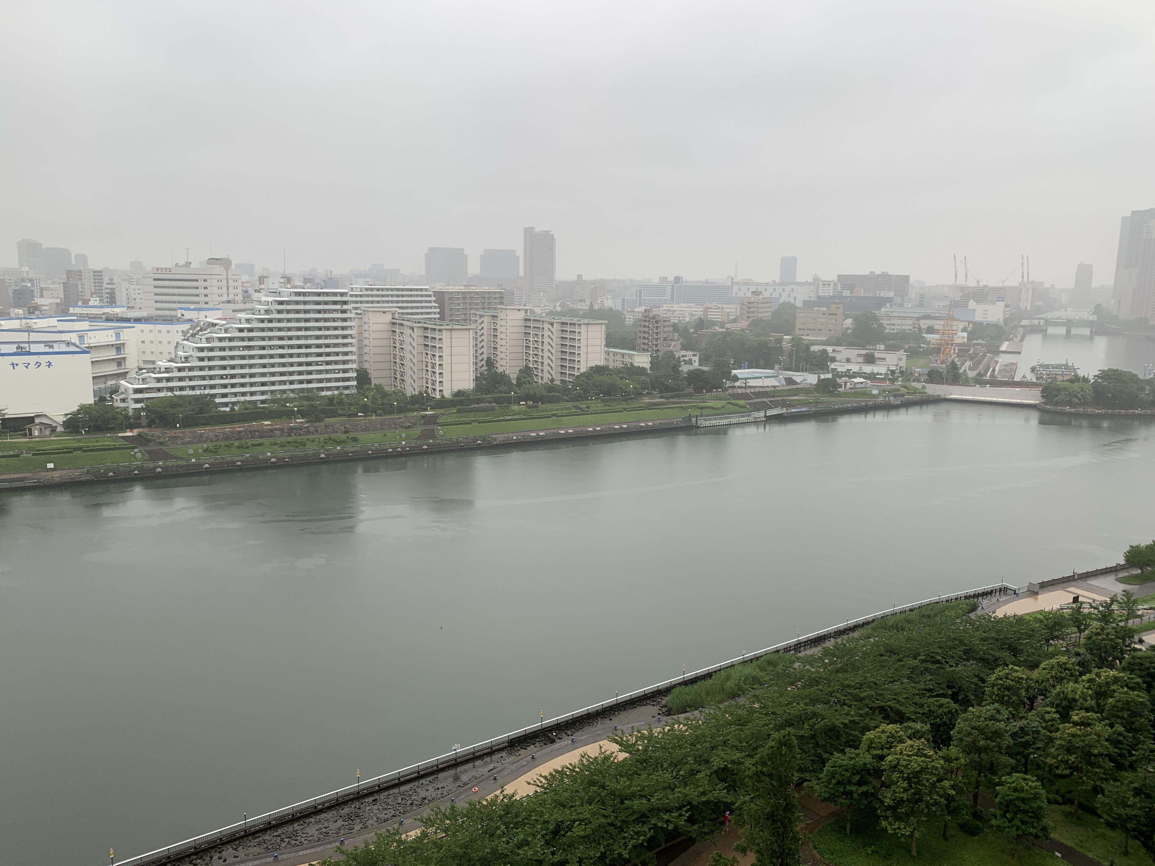 今朝も梅雨空「大切なもの」