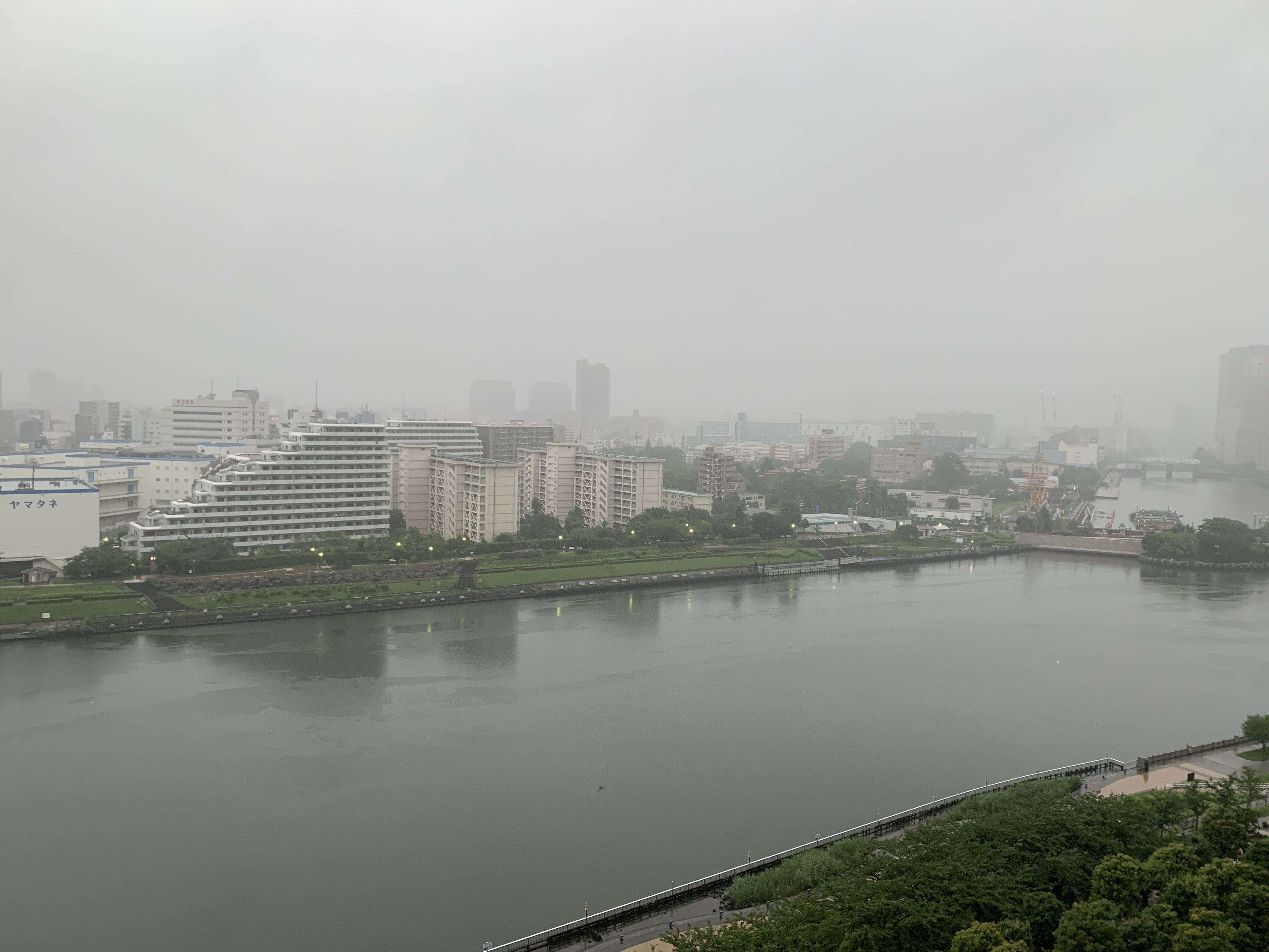 今朝も梅雨空「大切にされていないなら距離を置こう」