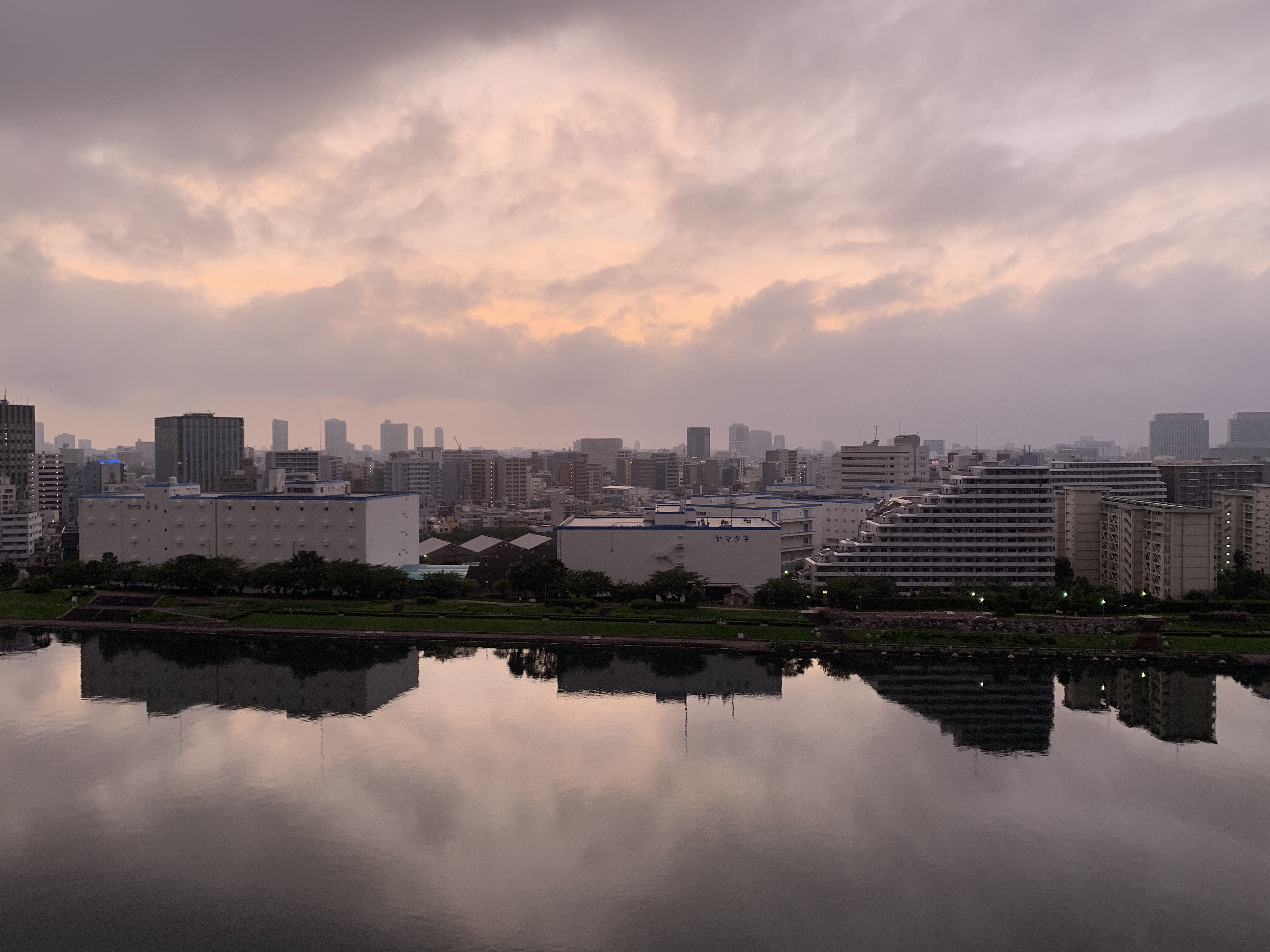 薄らピンクの夜明け「素直に伝える」