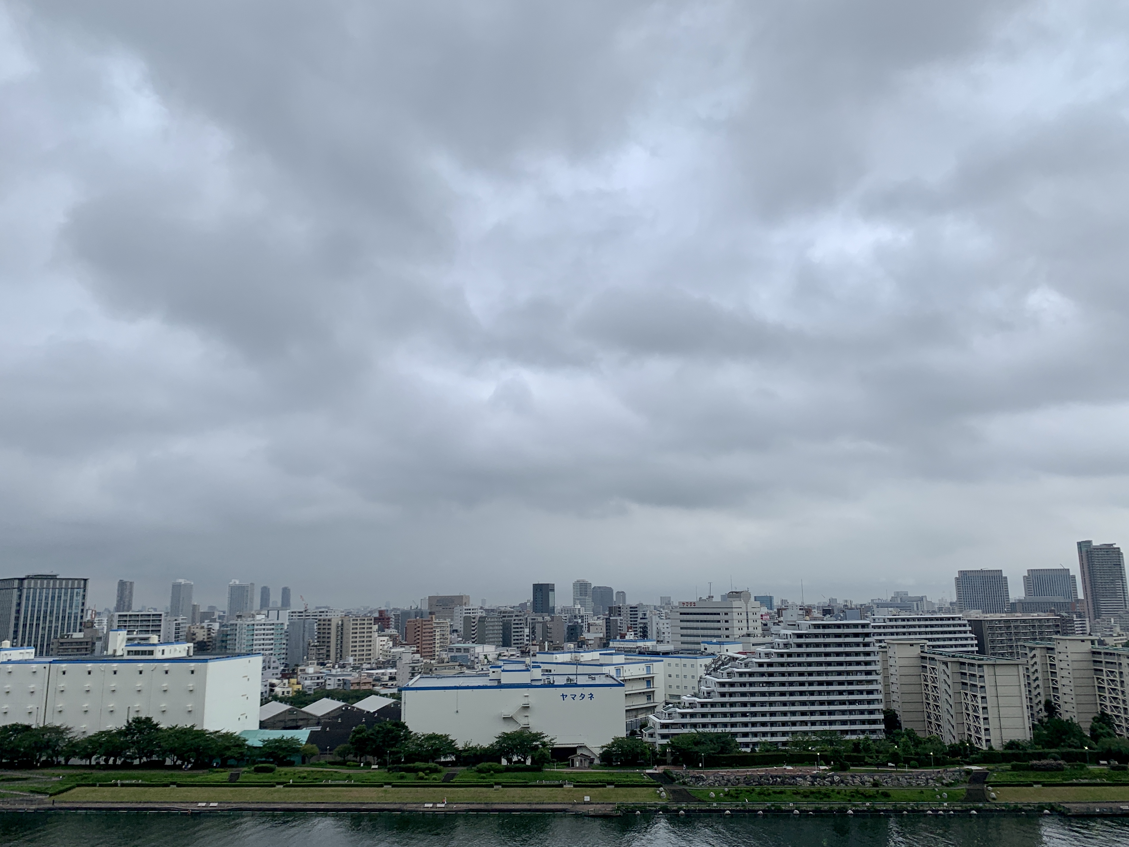 暗くない朝「こだわりや執着を手放そう」