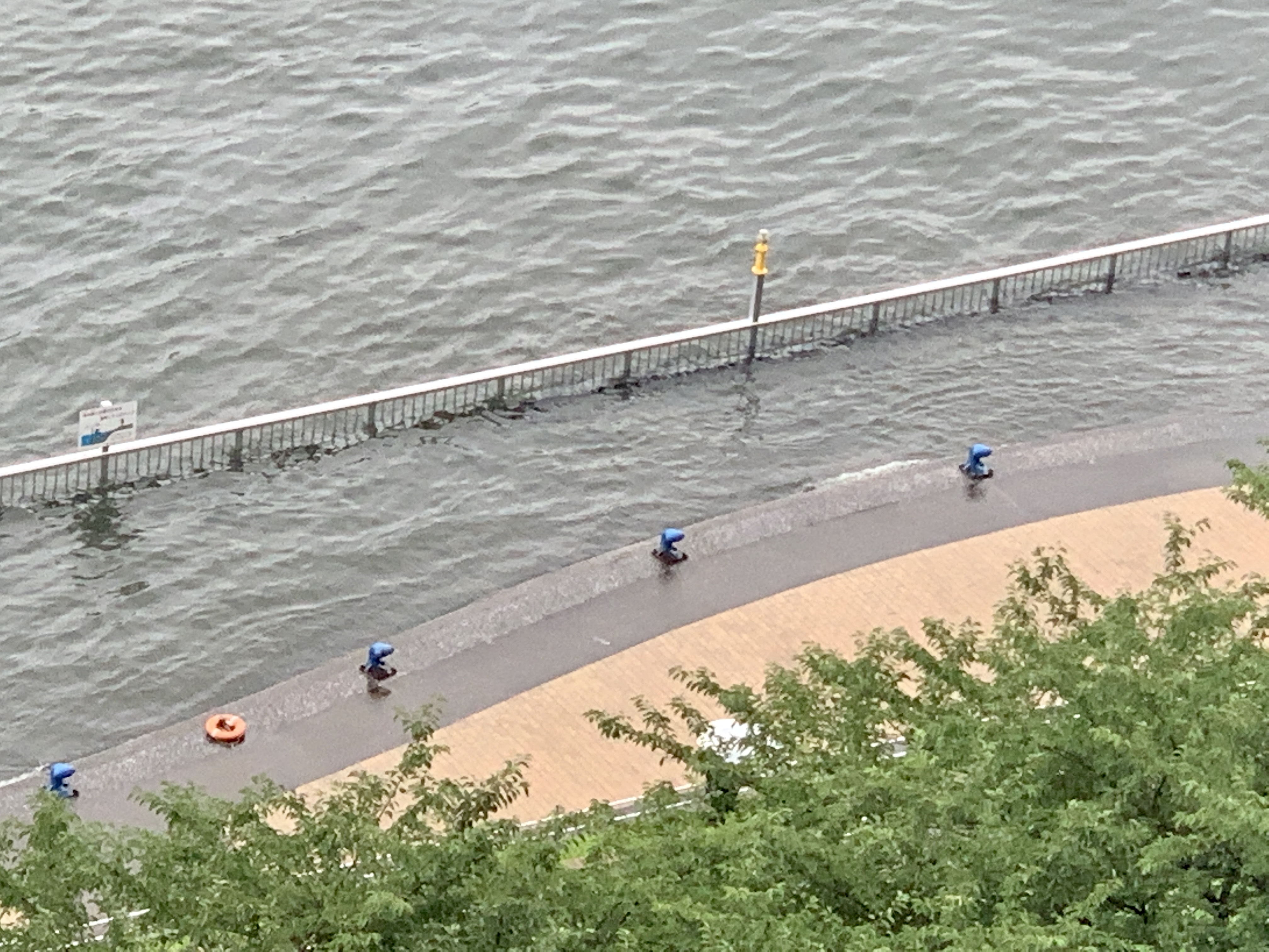 しっとり雨の静かな朝「思い切り笑って泣いて」