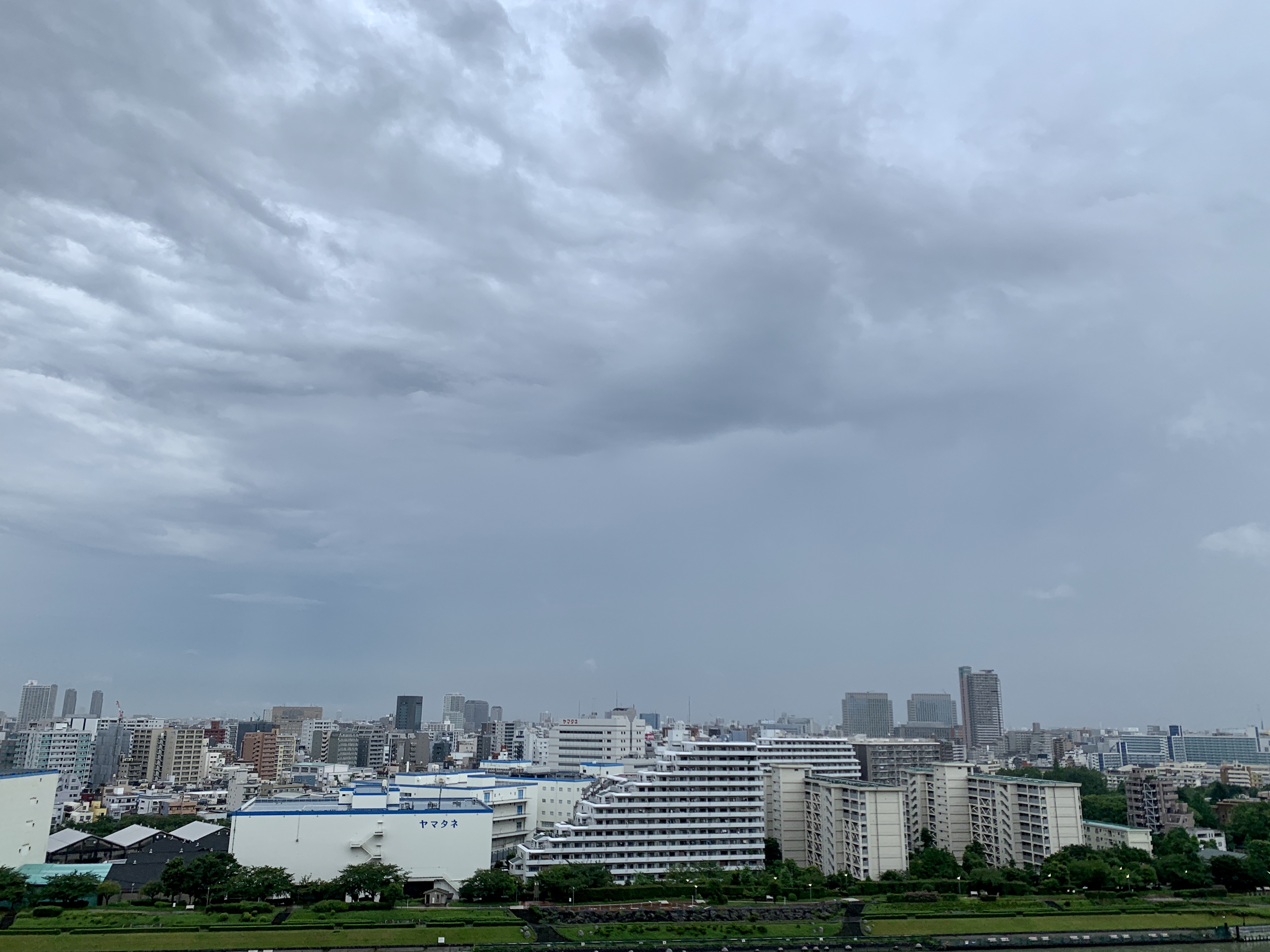 雨上がりの朝「直感」