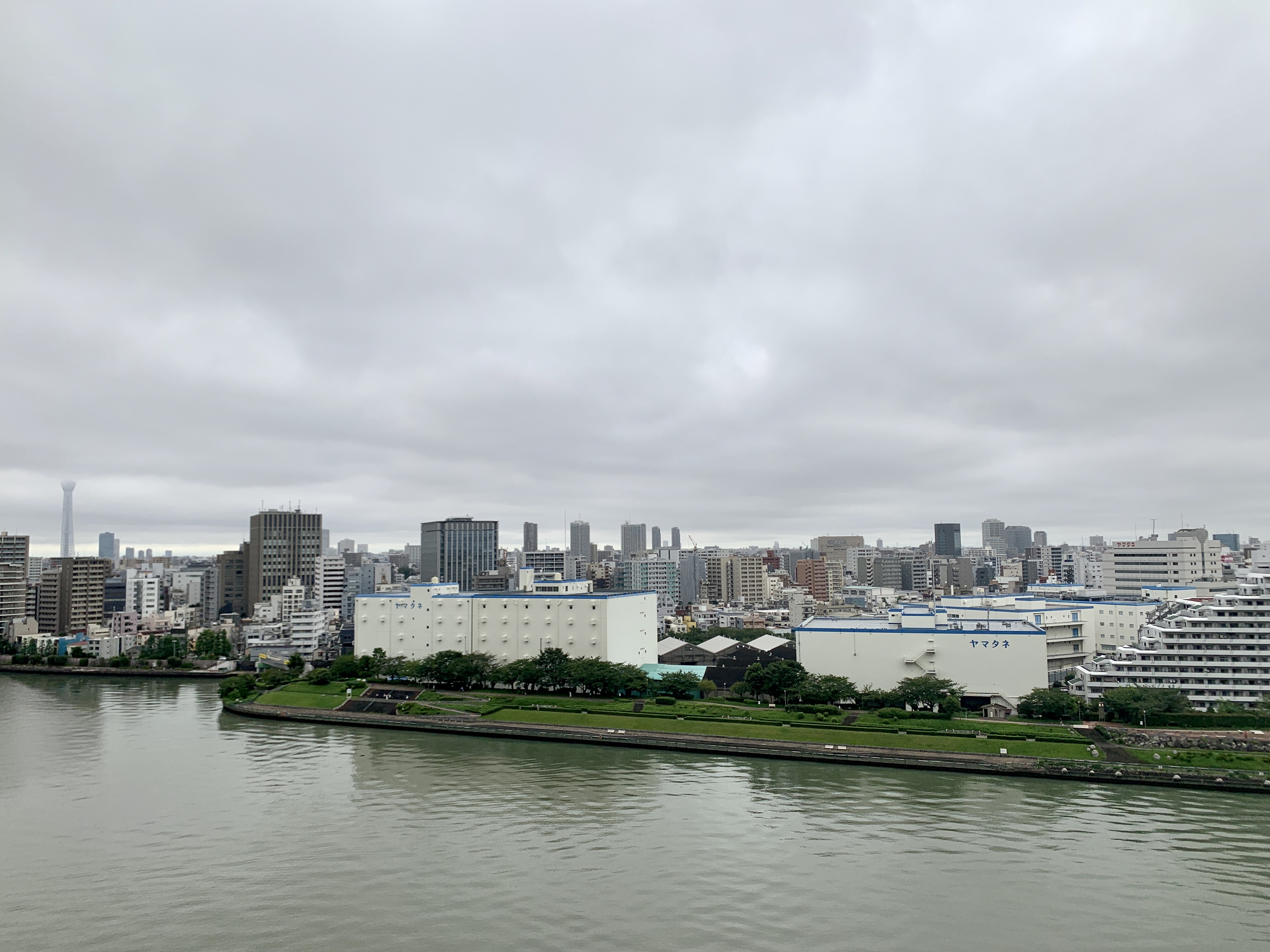 冷んやり空気が心地よい朝「わかったつもり」