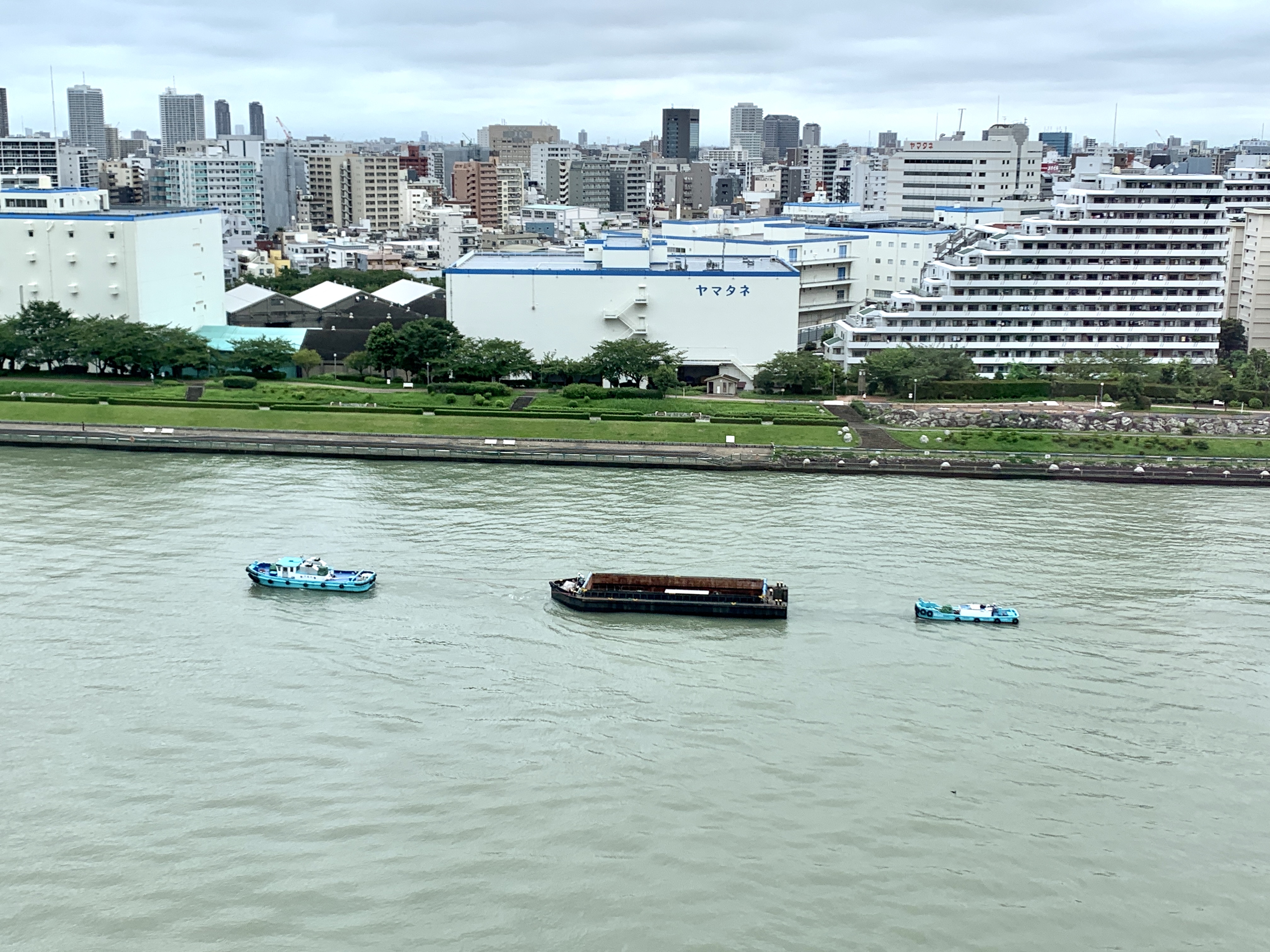 可愛らしい船の家族🚤