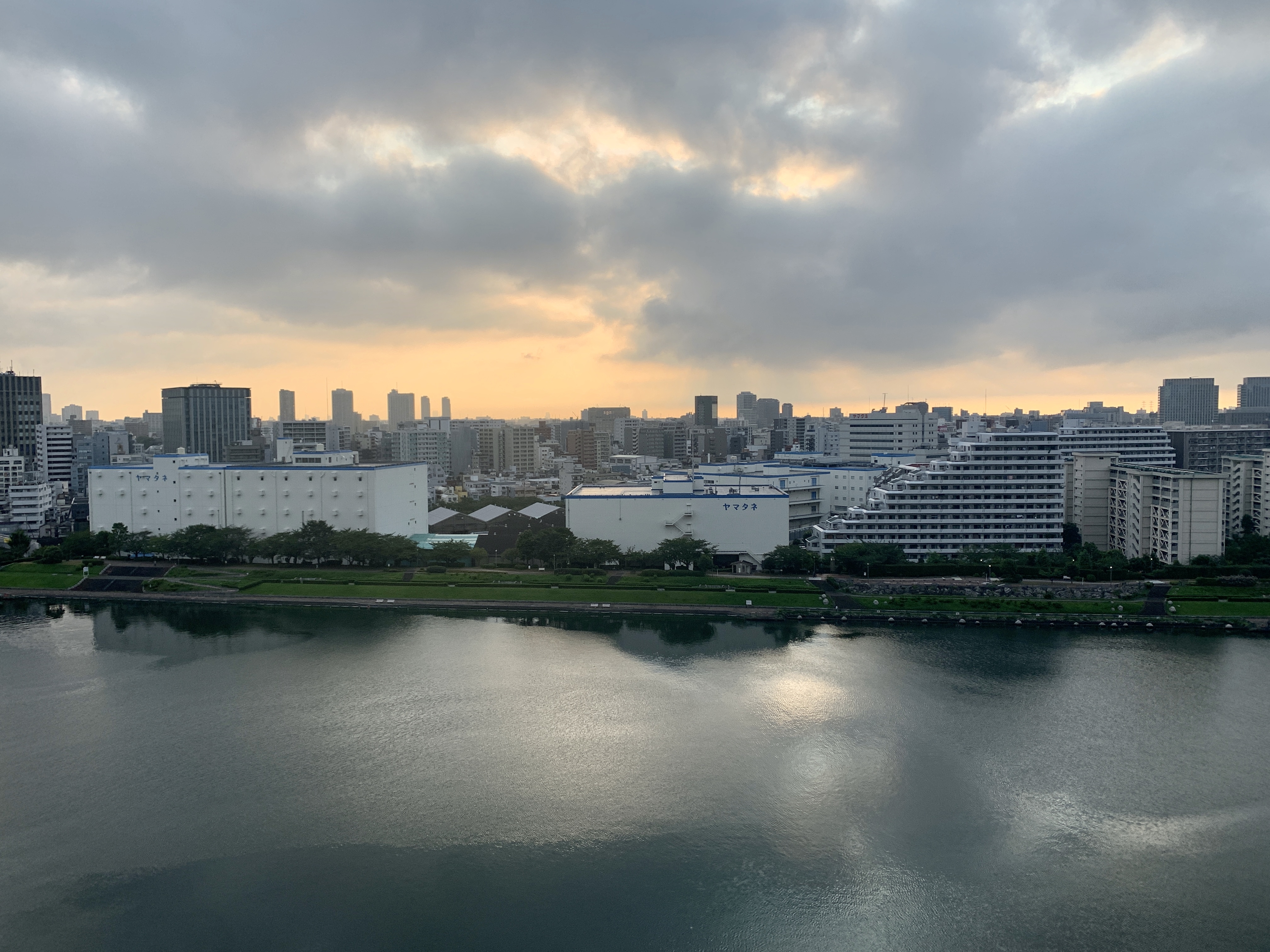 希望の兆しを感じる朝「うまくいくと信じよう」☀️