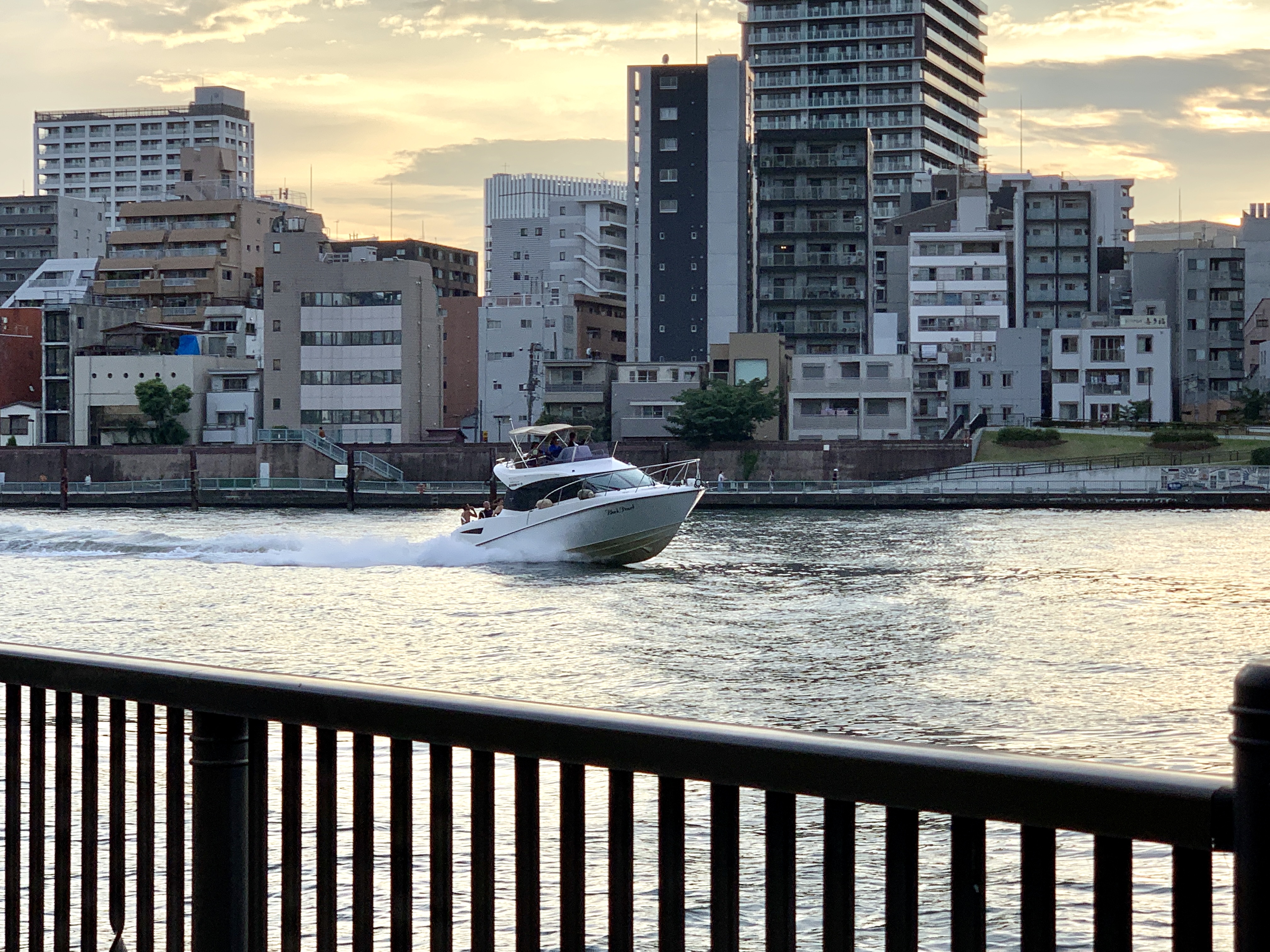 夕方のお散歩風景