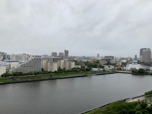 雨上がりの朝「生花で生きたエネルギーを」