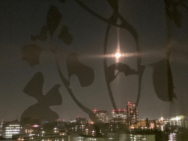 中秋の名月🌕