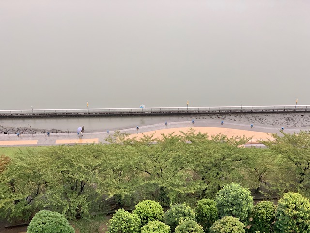 しっかり雨降りの朝「ありがとうとごめんなさい」